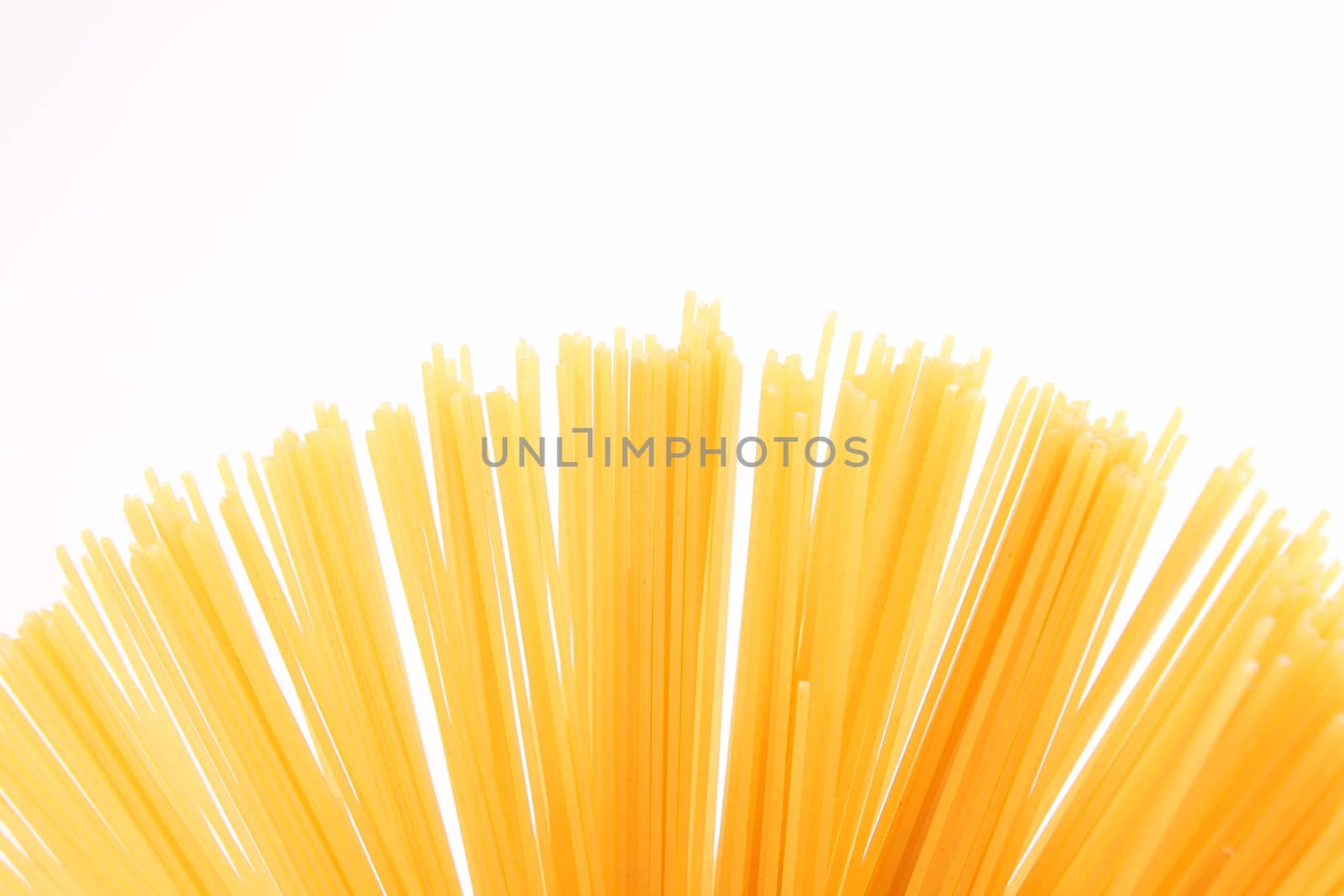 Fantail of spaghetti  isolated on white background by indigolotos