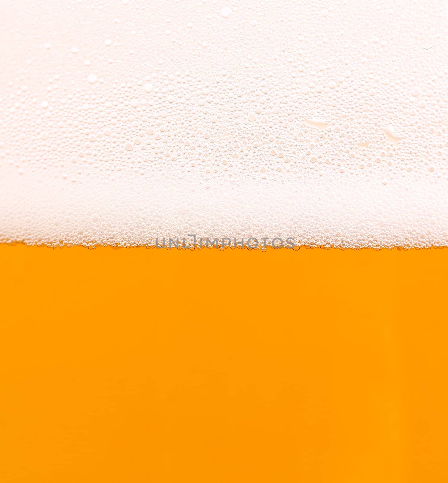 Light beer background by indigolotos