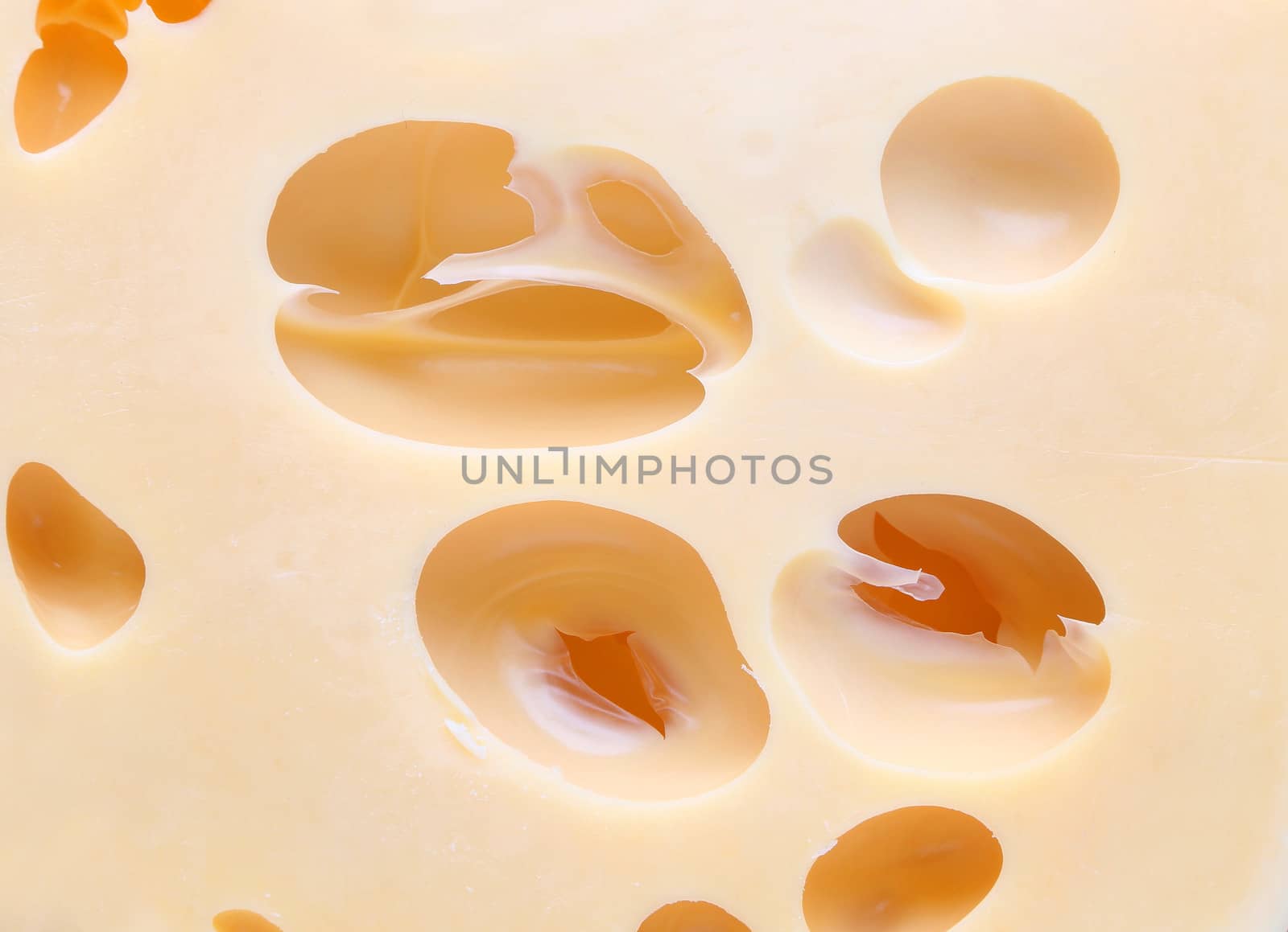 Close up cheese with holes. Takes up the entire background.