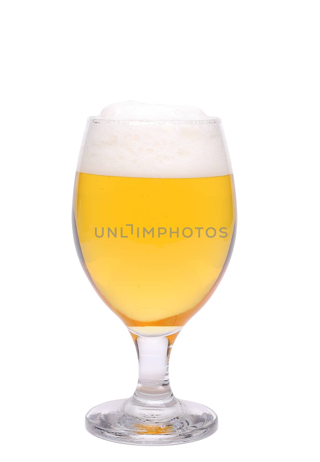 A wine goblet of beer are located on the white background
