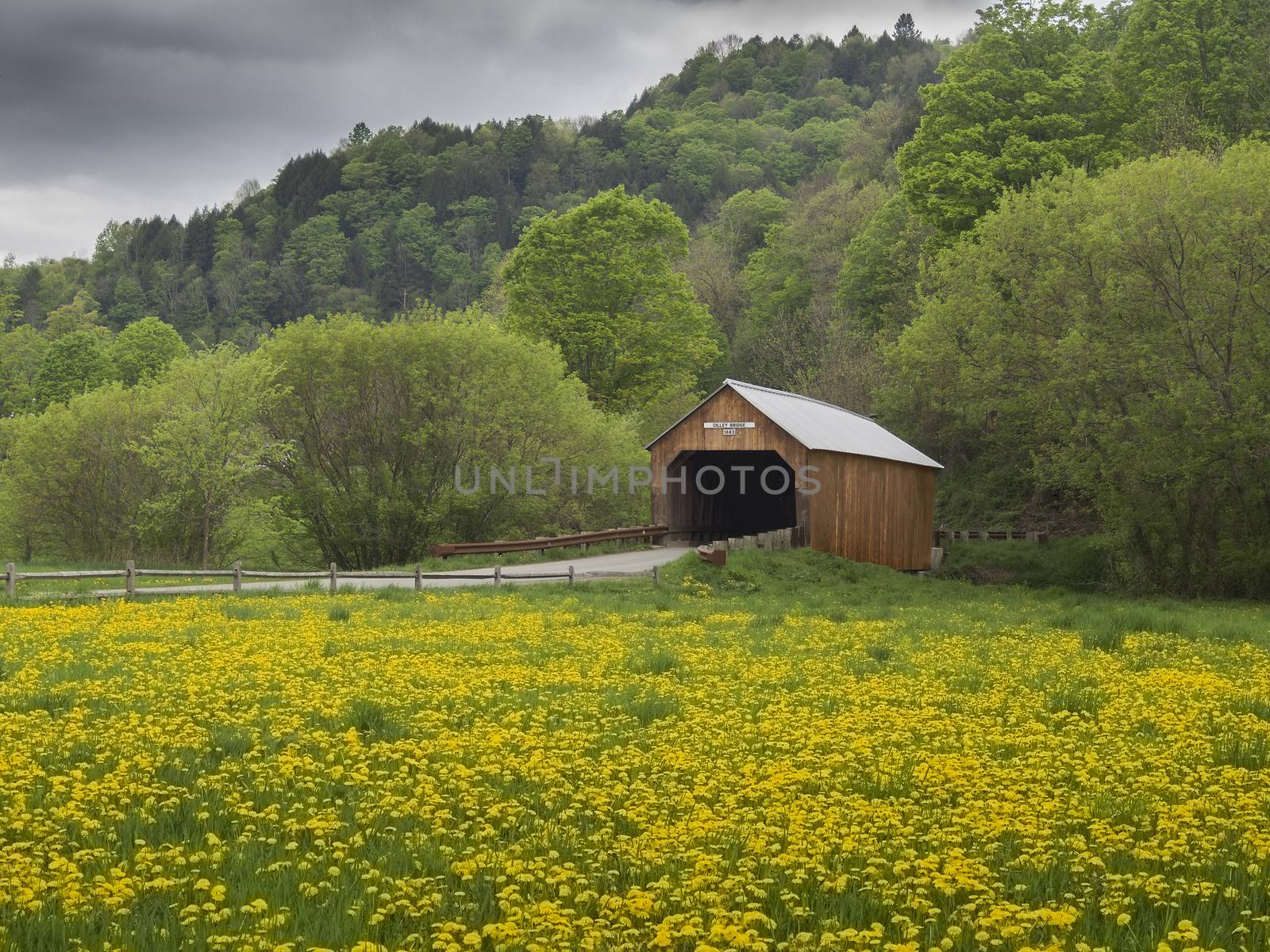 New England covered bridge in the state of Vermont surrounded by dandelions Covered bridge