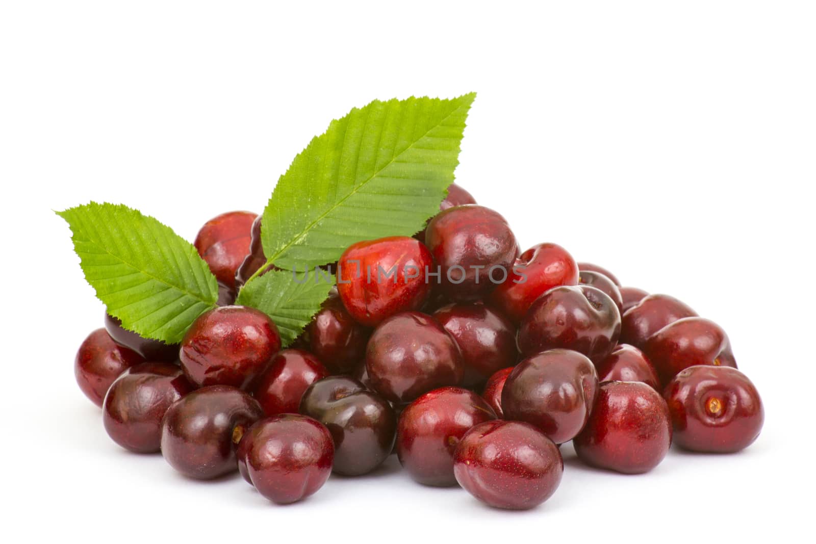 fresh cherries on white background