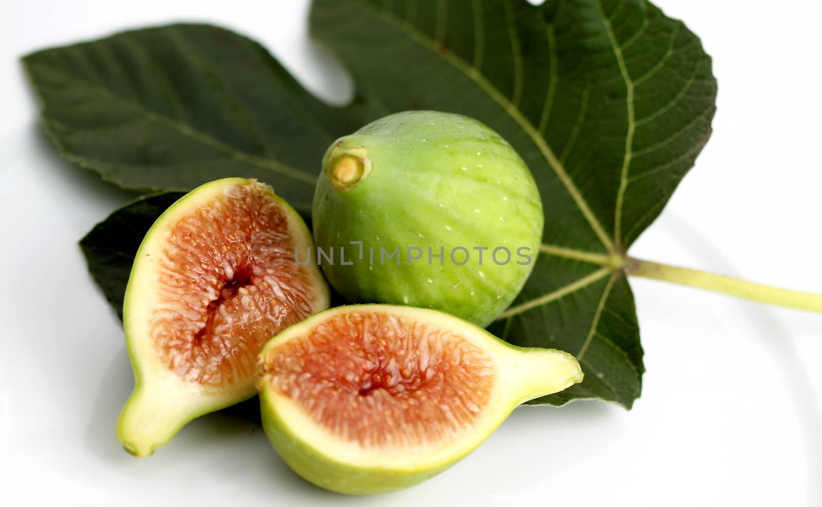 Green Fig by hlehnerer