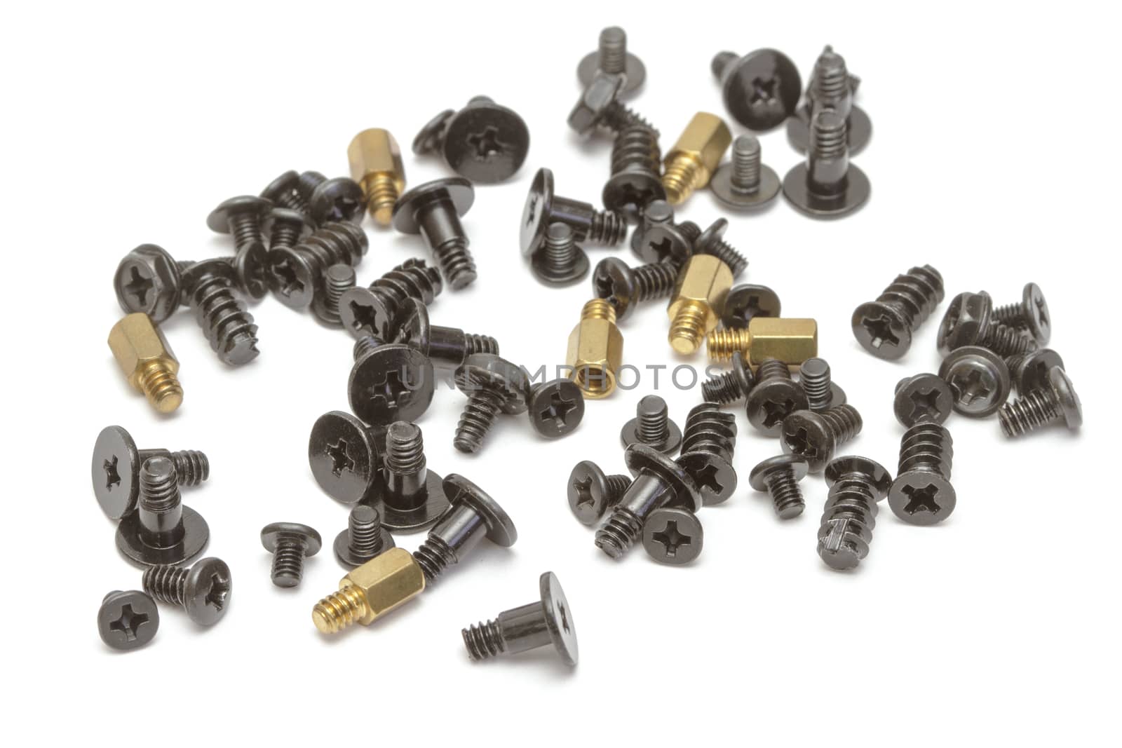 Metallic screws on white background