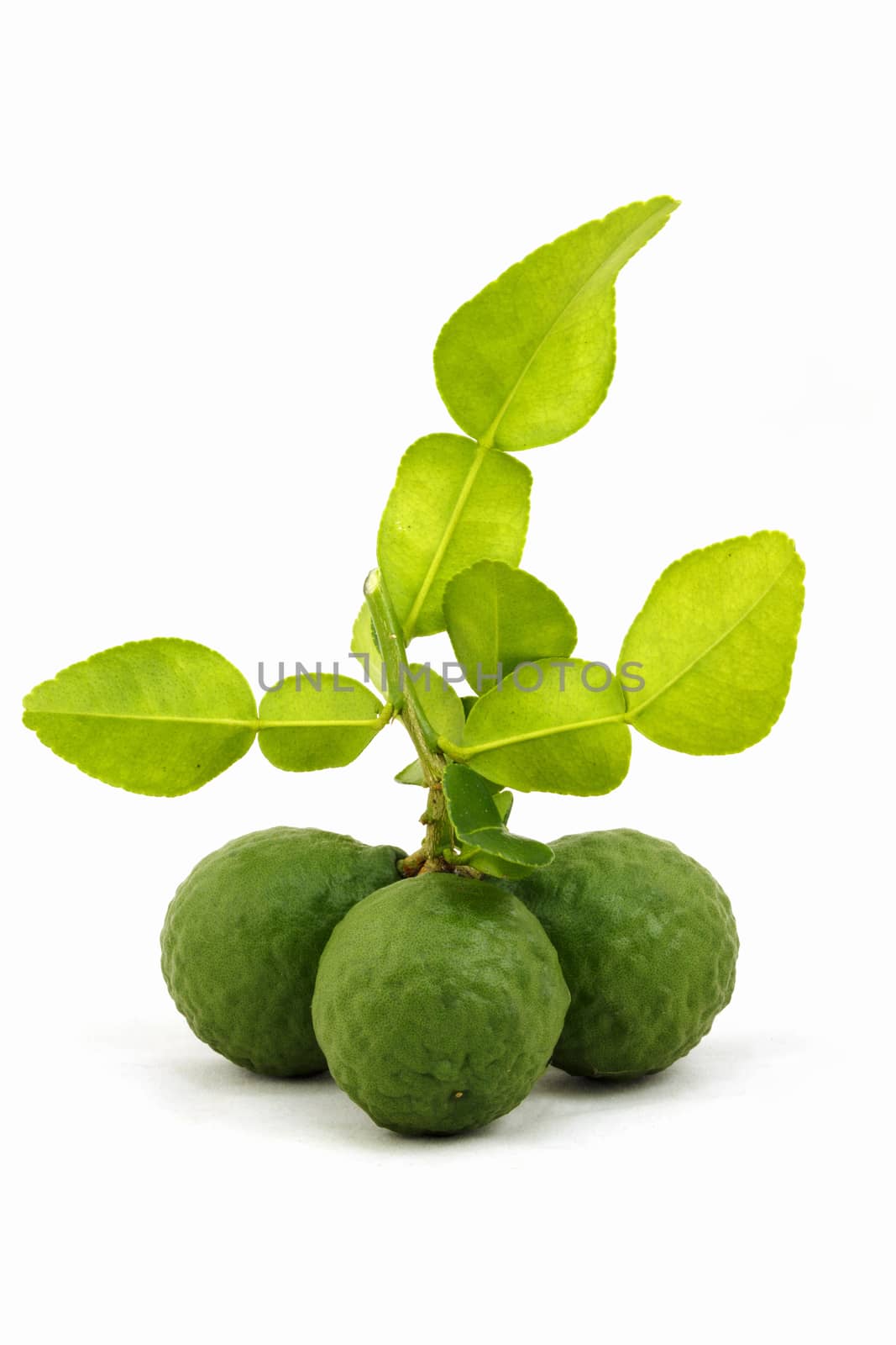 Organic bergamot and bergamot leaves  isolated on white background.