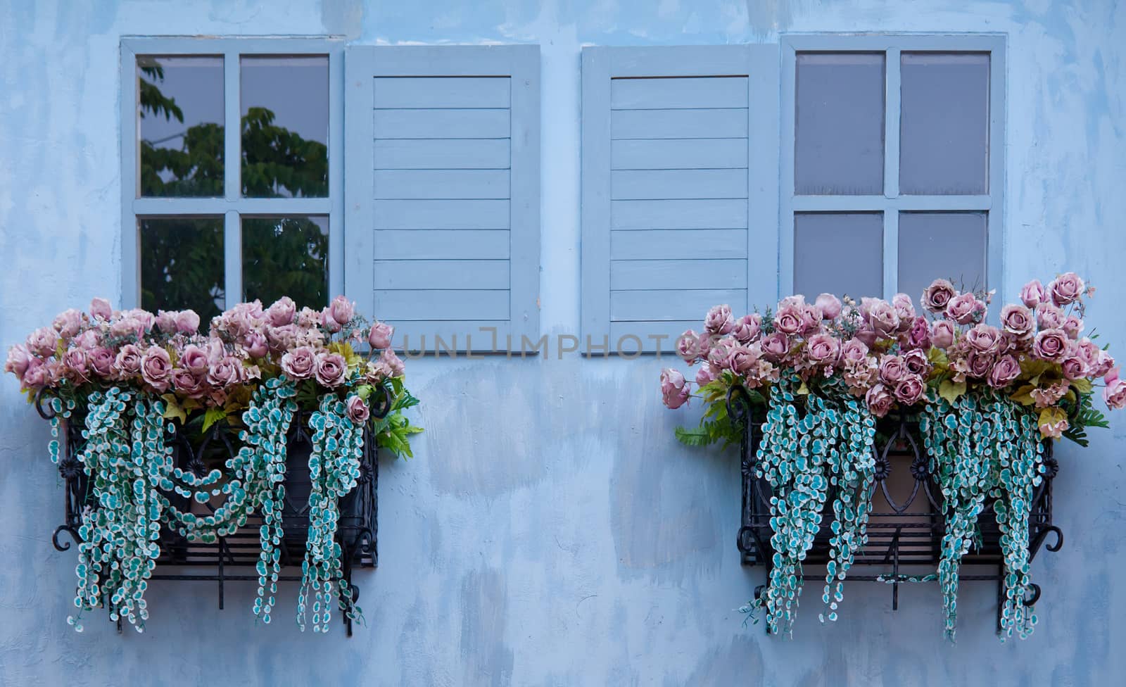 close-up window and flower in blue wall