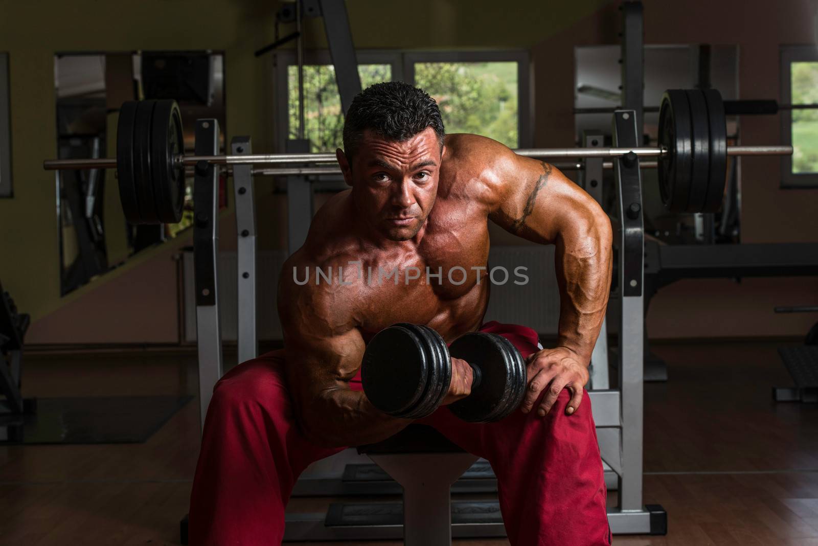 shirtless bodybuilder doing heavy weight exercise for biceps by JalePhoto