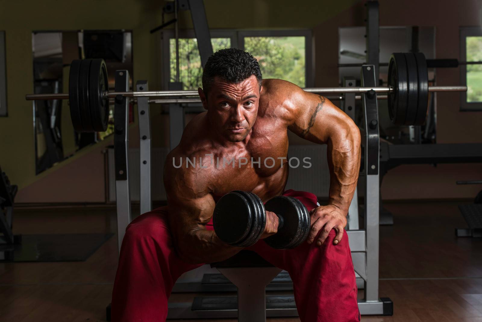 shirtless bodybuilder doing heavy weight exercise for biceps