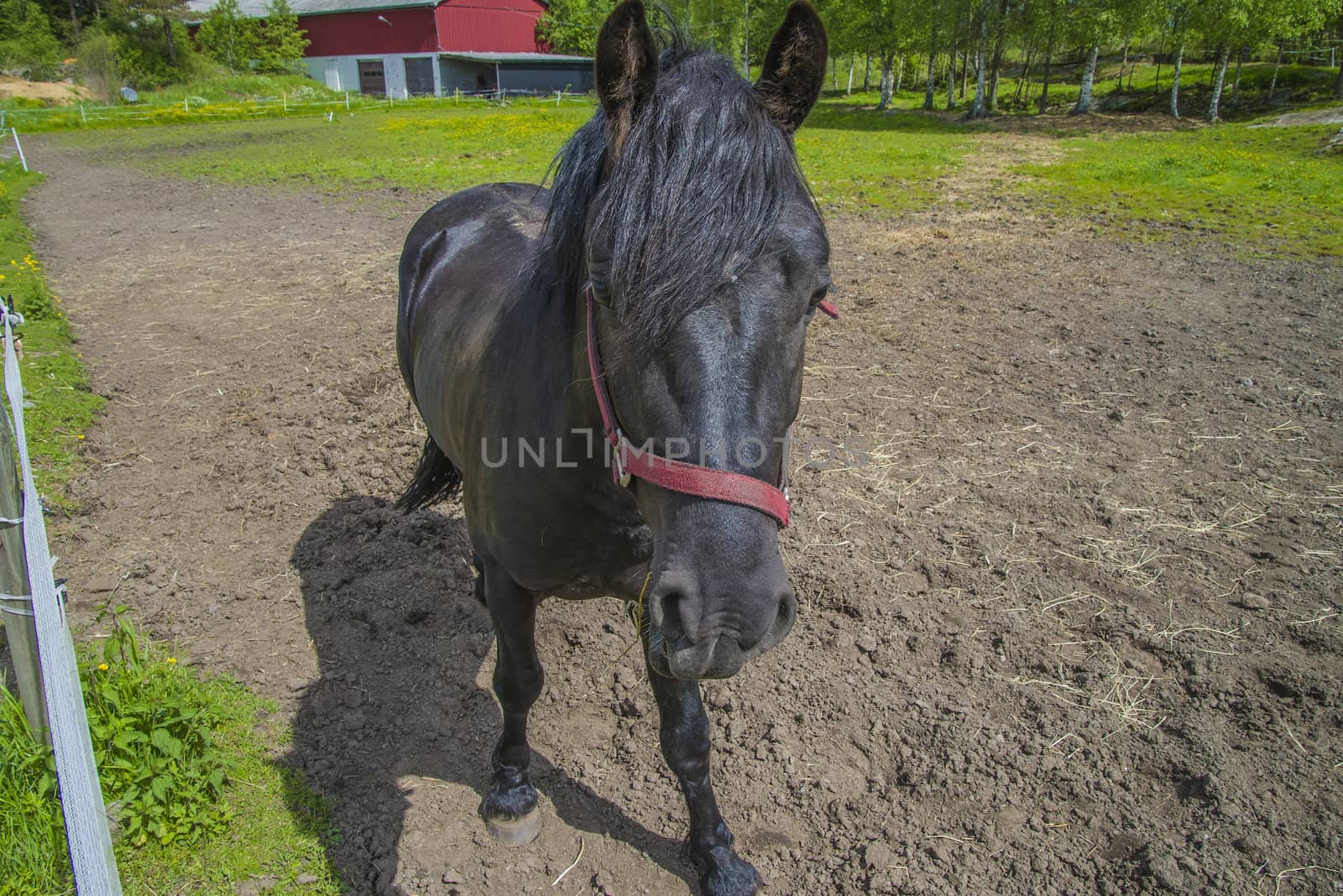 The image is shot at a farm in Aremark municipality that borders to Halden municipality, Norway