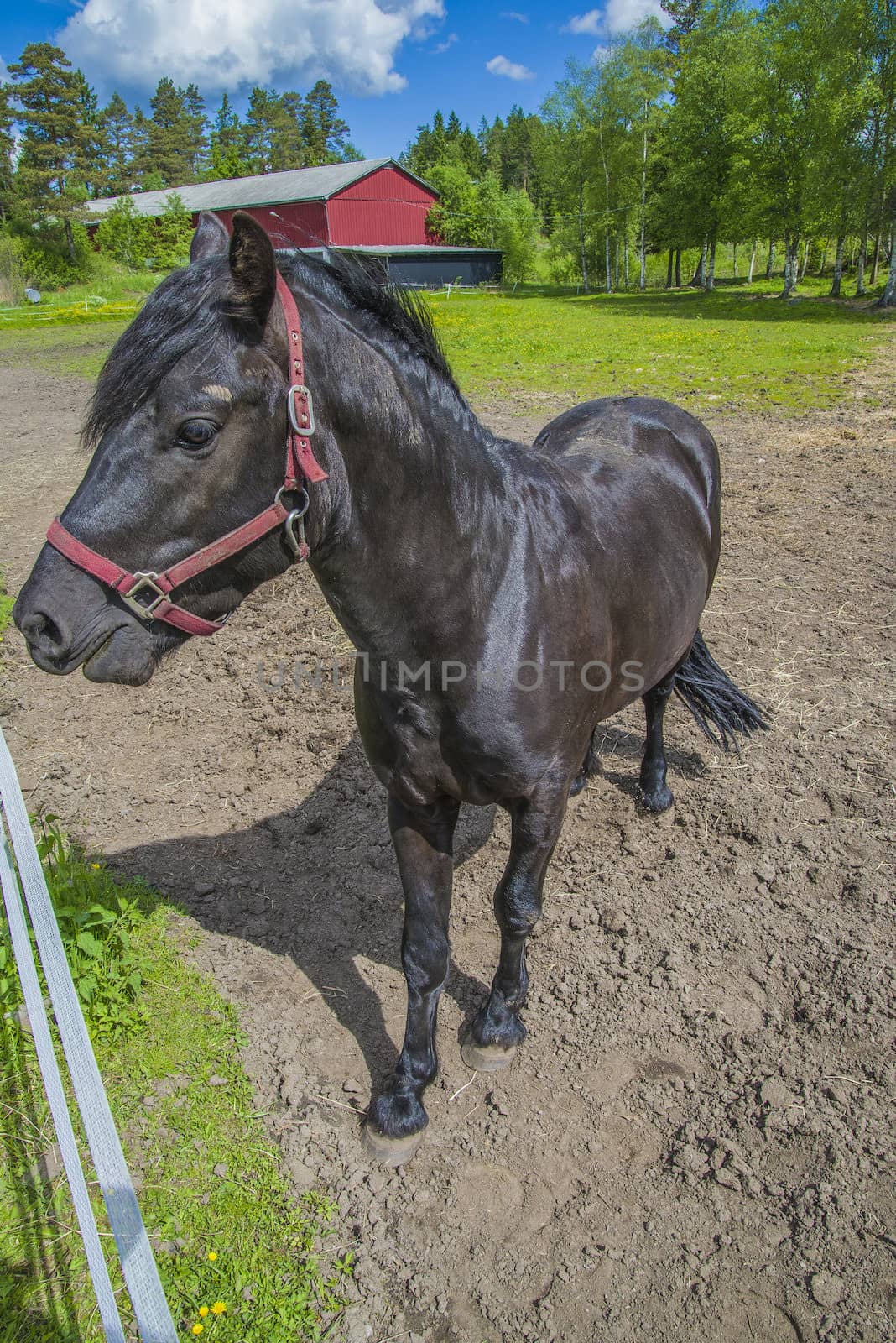 The image is shot at a farm in Aremark municipality that borders to Halden municipality, Norway