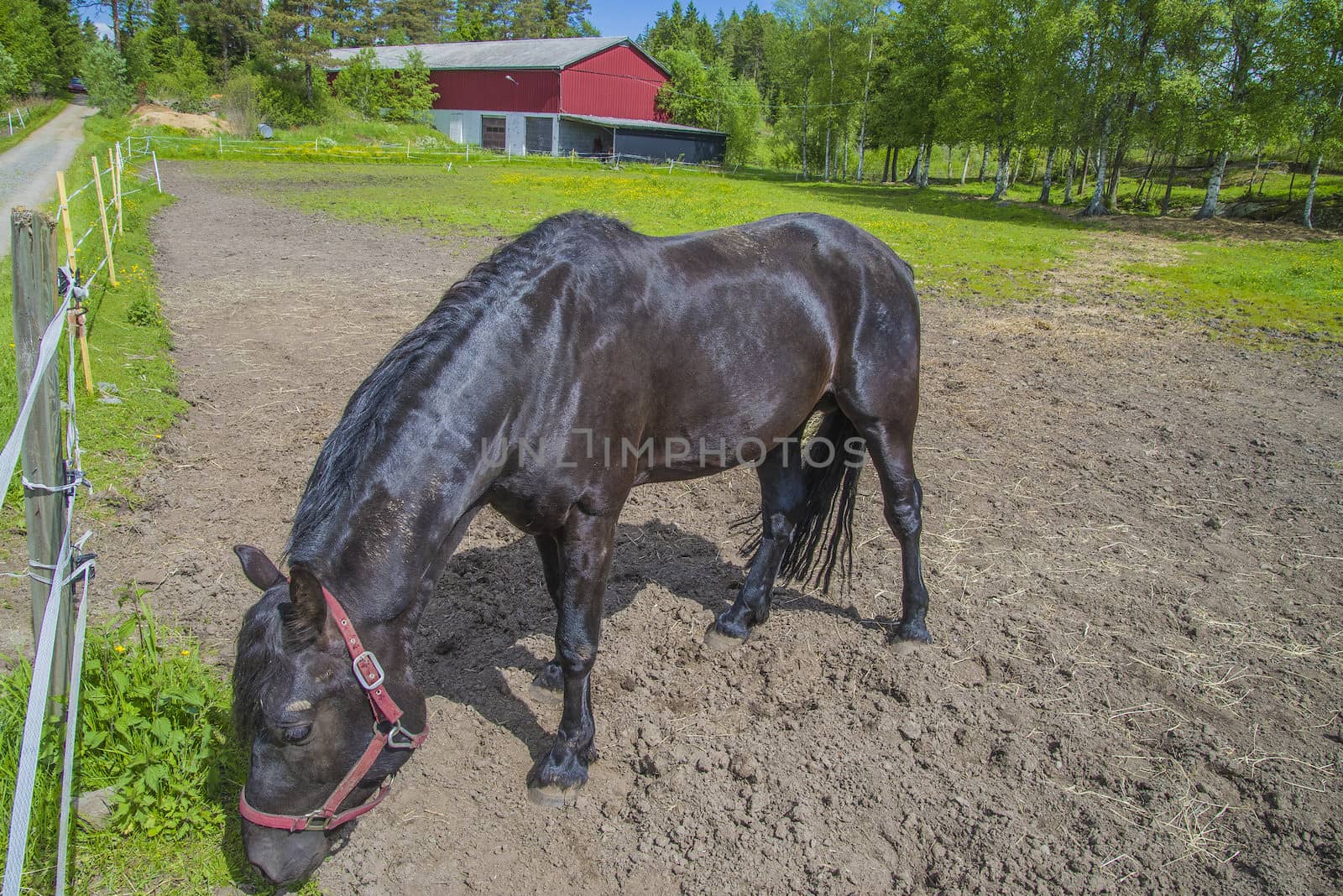 The image is shot at a farm in Aremark municipality that borders to Halden municipality, Norway.