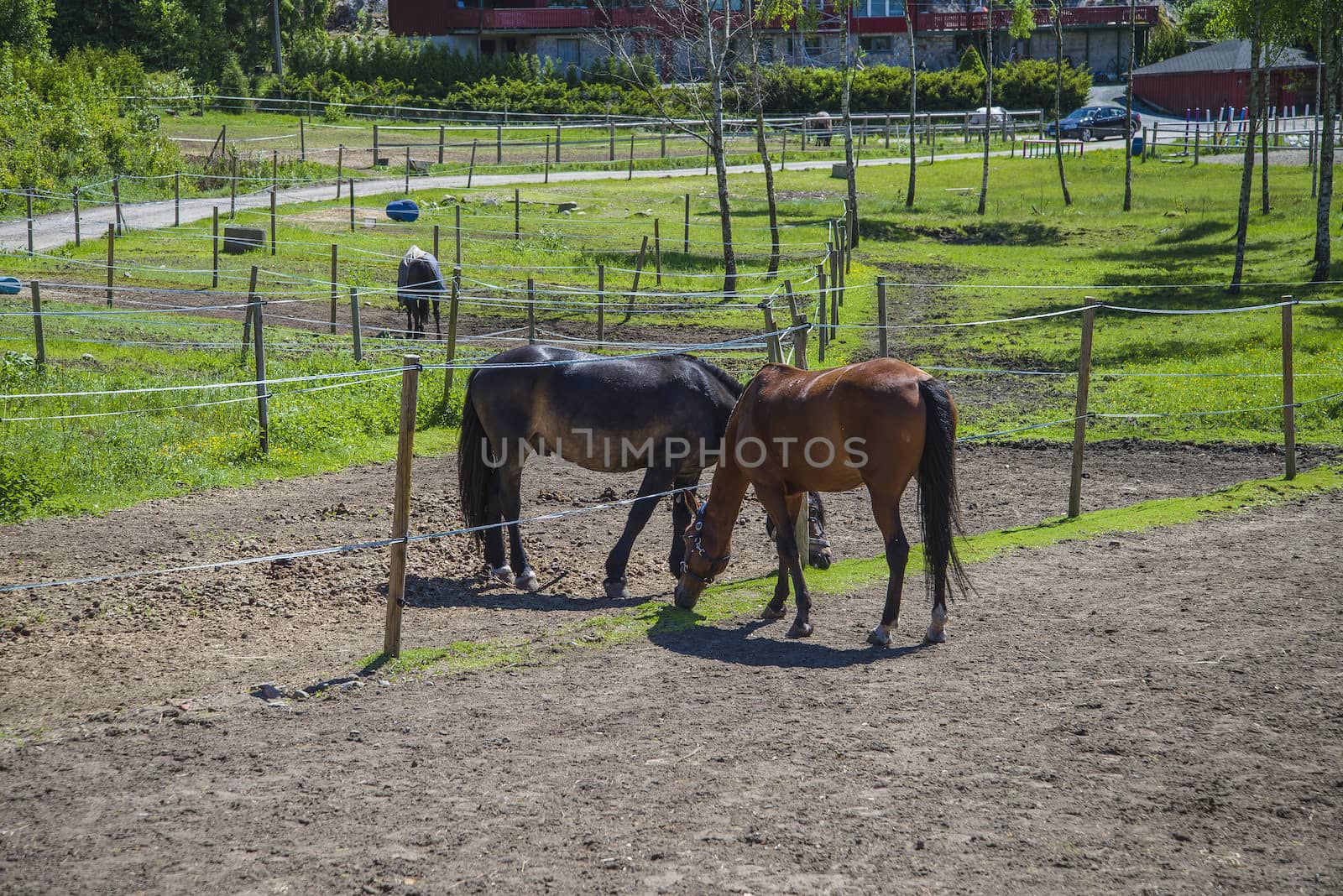 All the images are shot at Horse stables R��dskasa In L��kkevika which is just outside Halden, Norway.