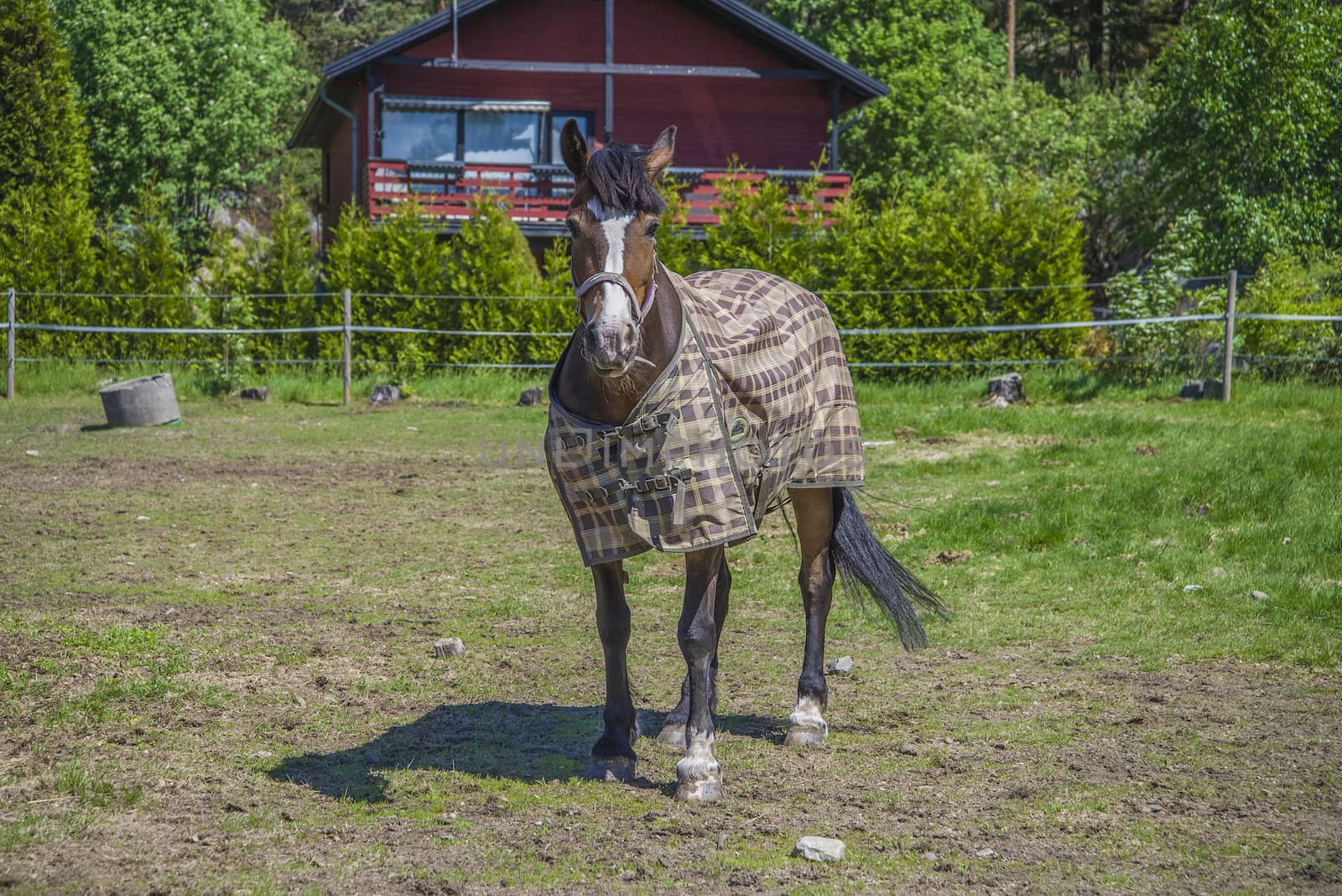 All the images are shot at Horse stables R��dskasa In L��kkevika which is just outside Halden, Norway.
