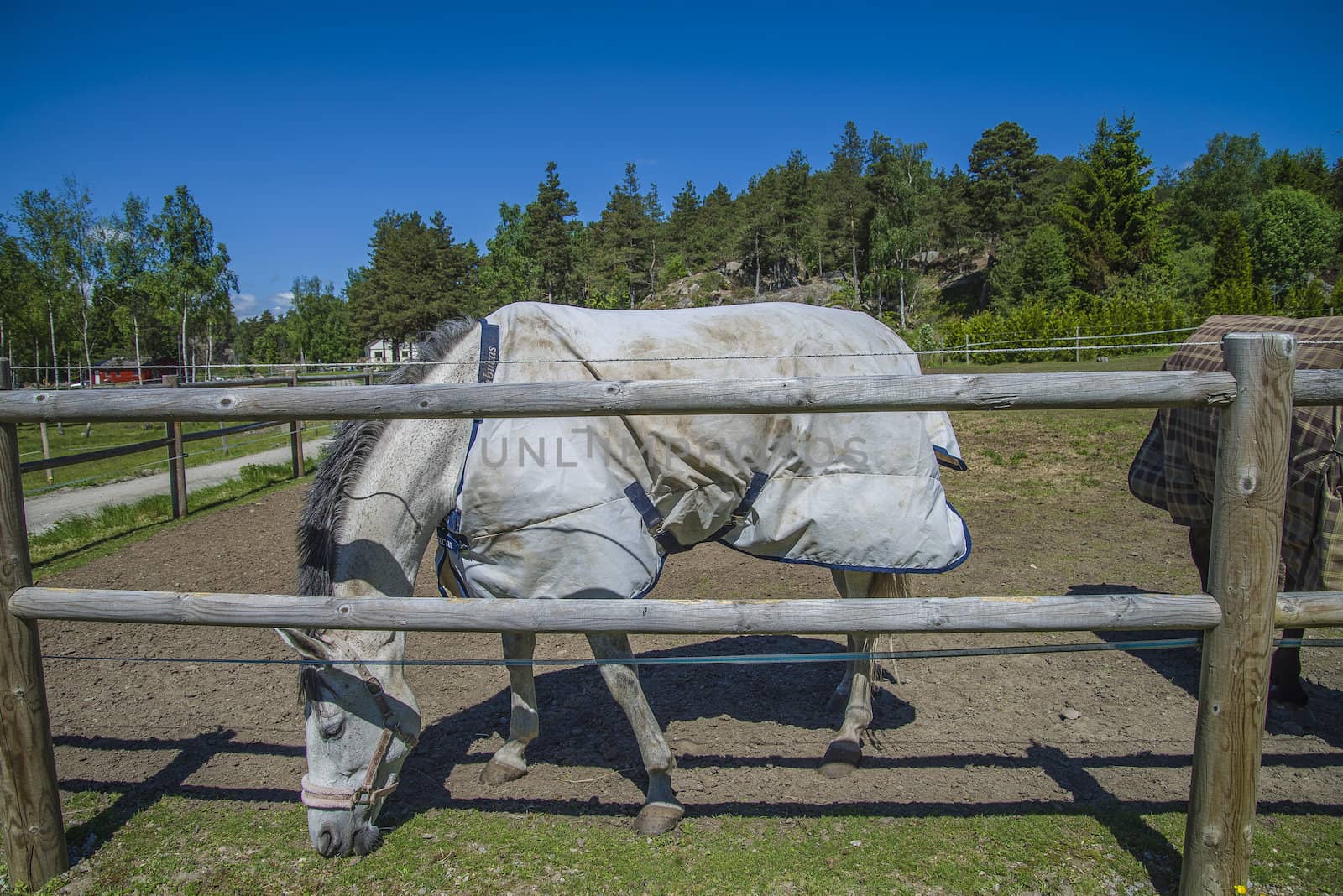 All the images are shot at Horse stables R��dskasa In L��kkevika which is just outside Halden, Norway.