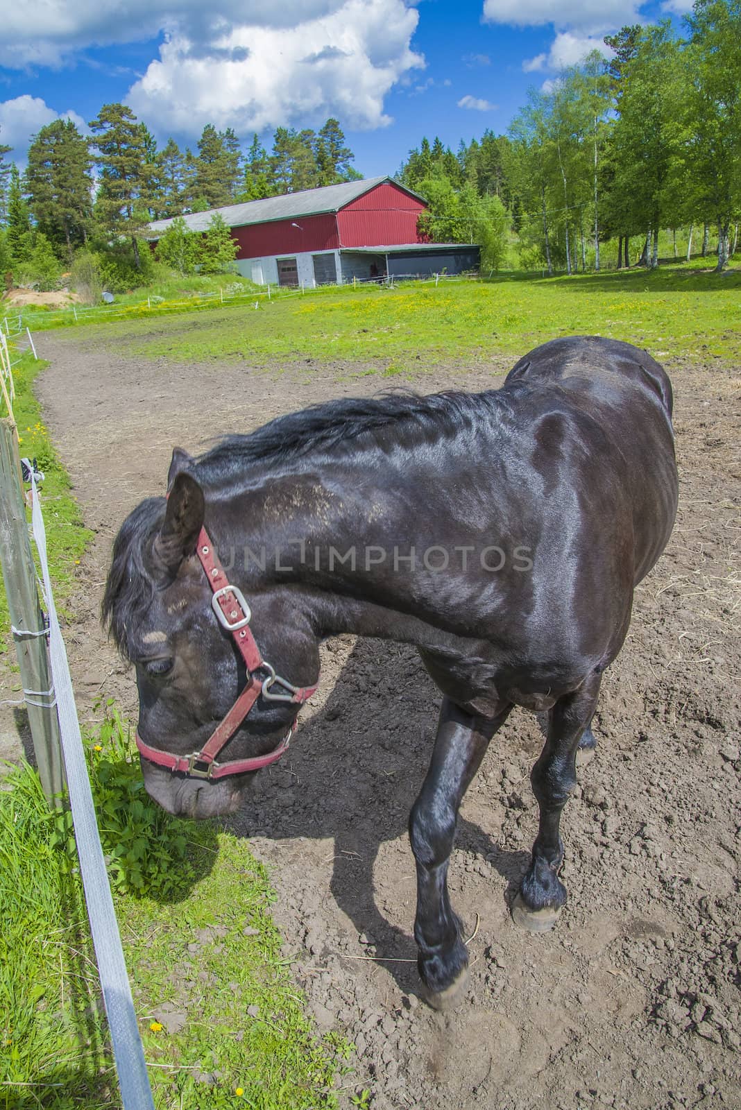 The image is shot at a farm in Aremark municipality that borders to Halden municipality, Norway