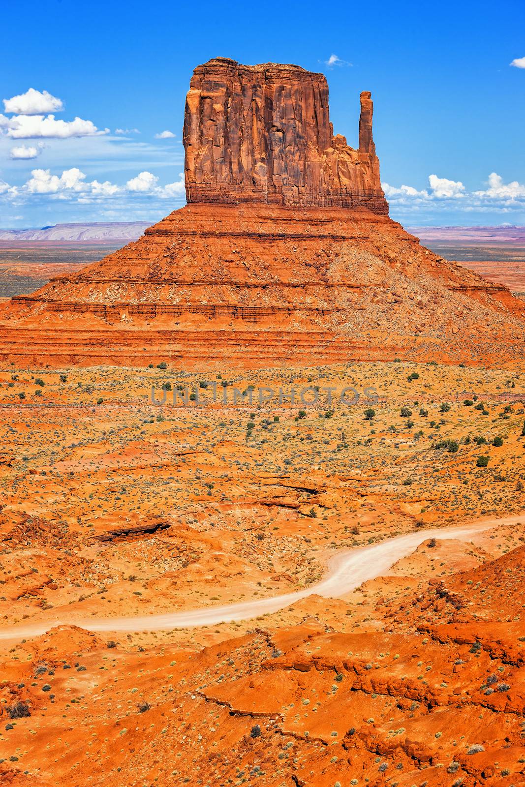 Vertical view of Monument Valley West Thumb with road