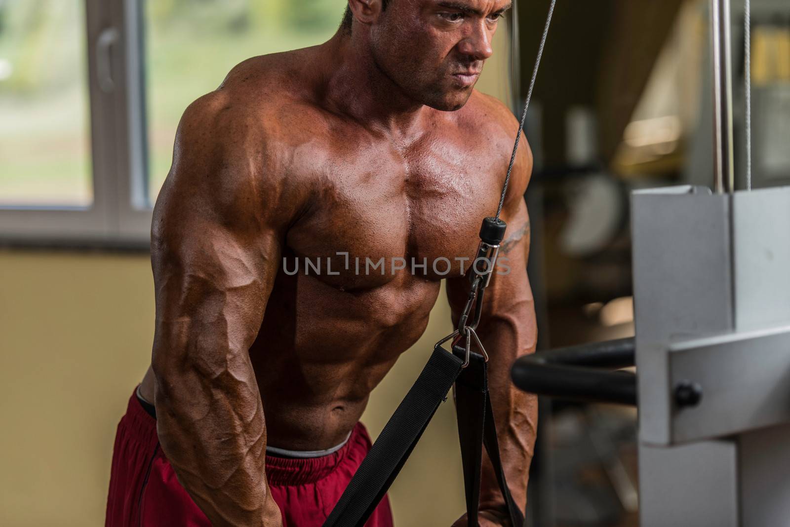 bodybuilder doing heavy weight exercise for triceps with cable by JalePhoto