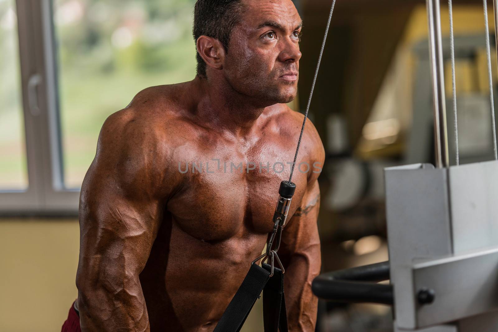 bodybuilder doing heavy weight exercise for triceps with cable by JalePhoto
