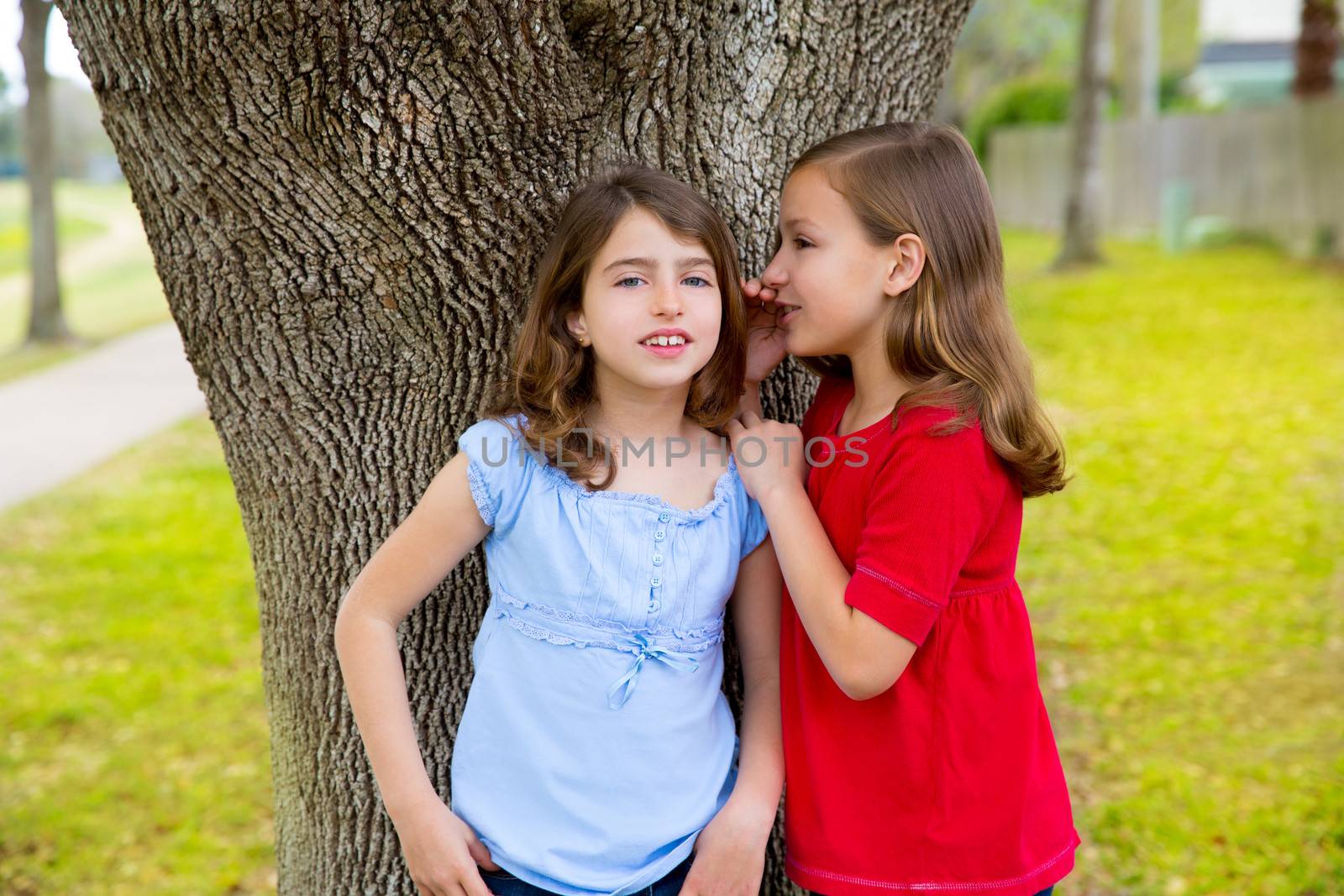 kid friend girls whispering ear playing in a park tree by lunamarina