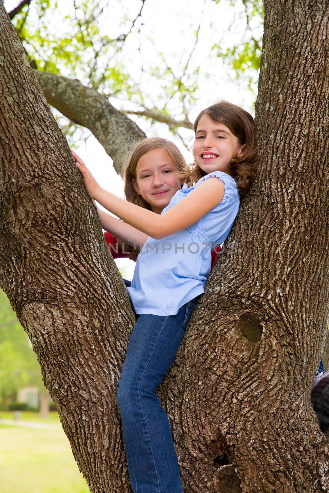 children girls playing climbing to a tree park outdoor