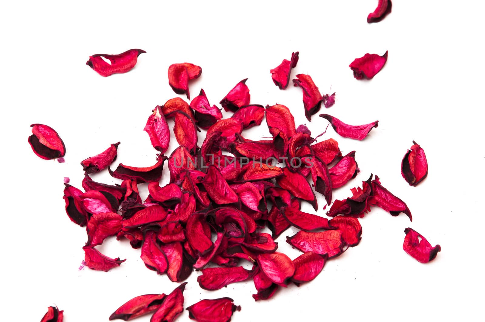 flower petals on a white background