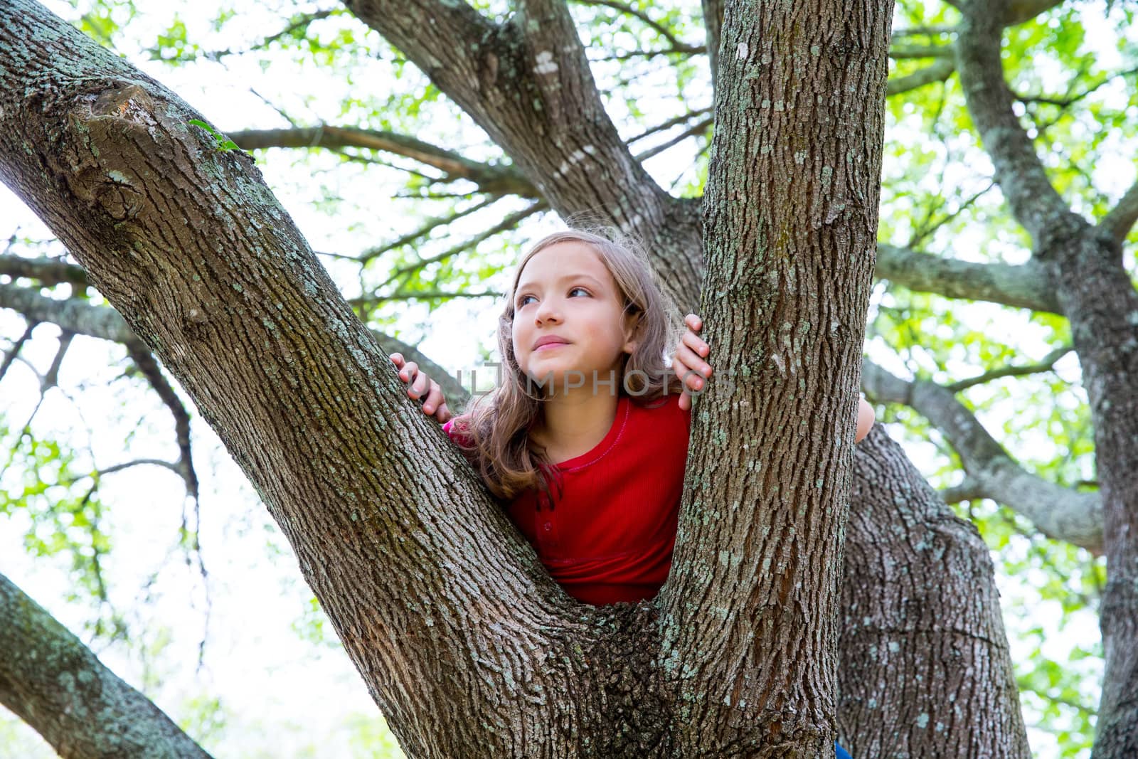 children kid girl playing climbing to a tree in a park by lunamarina