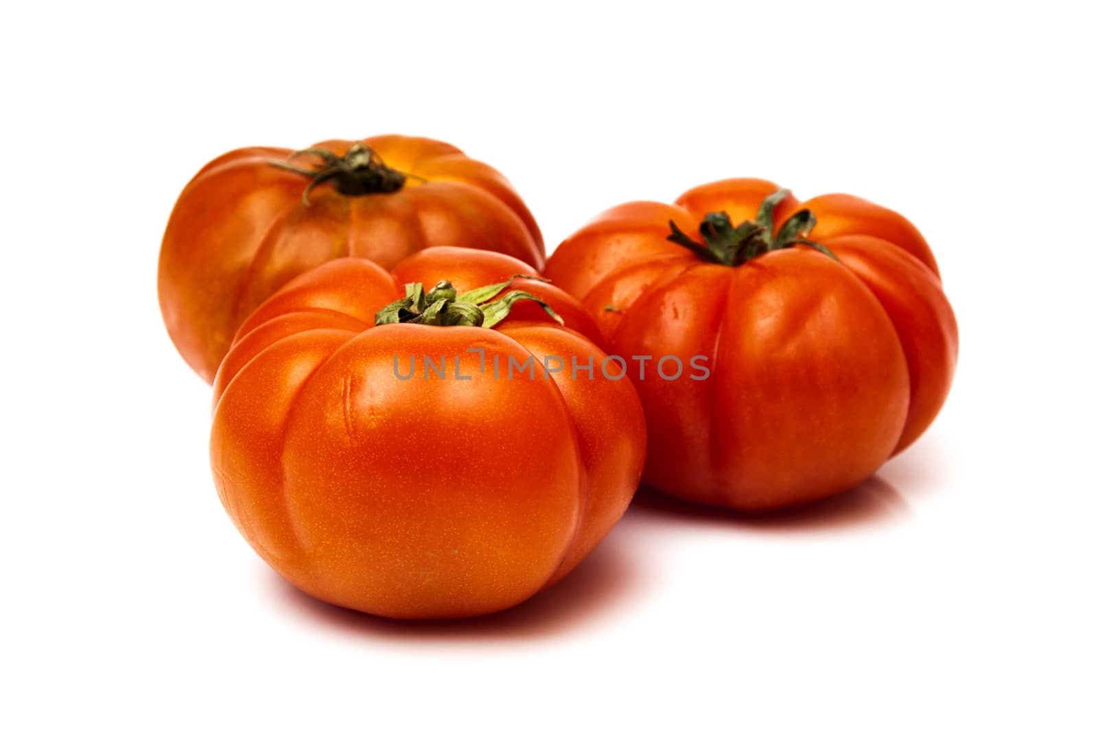 red tomatoes on a white background