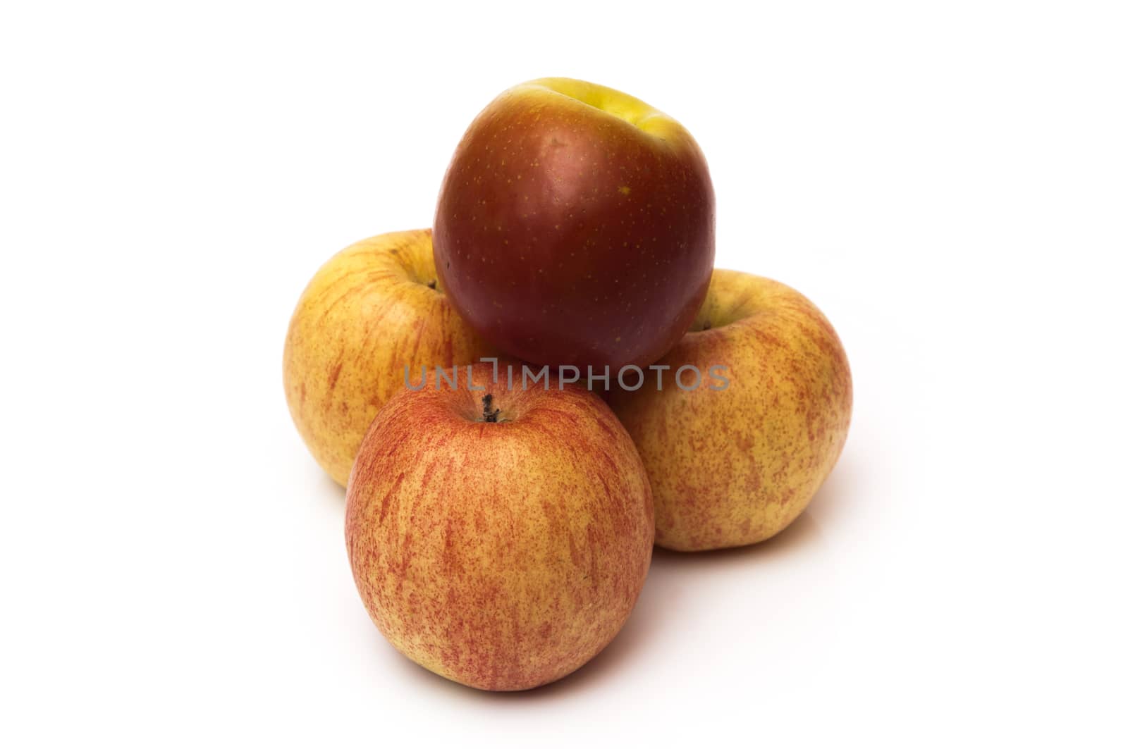 blocks of color on a white background