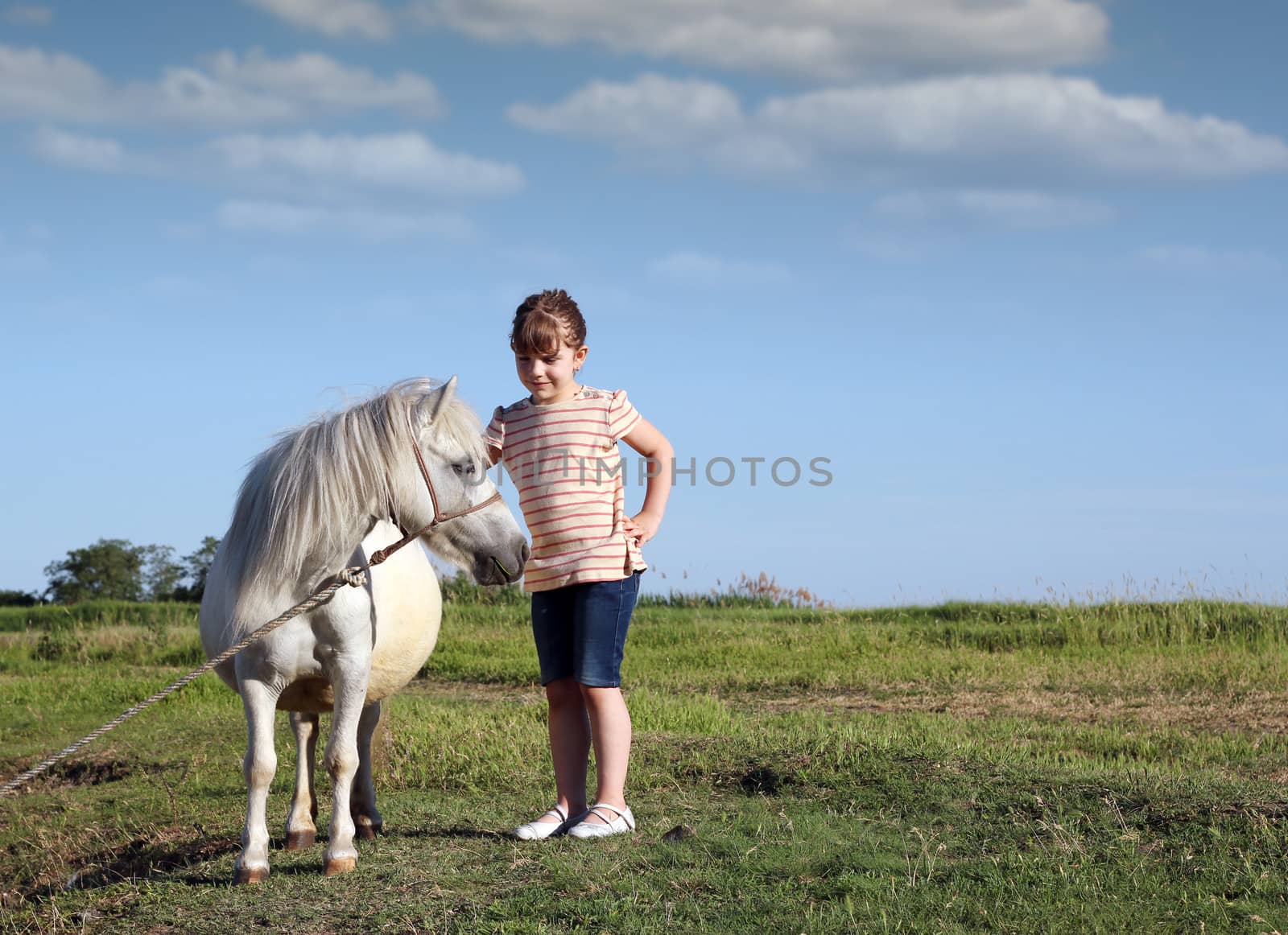 pony horse and child on pasture by goce