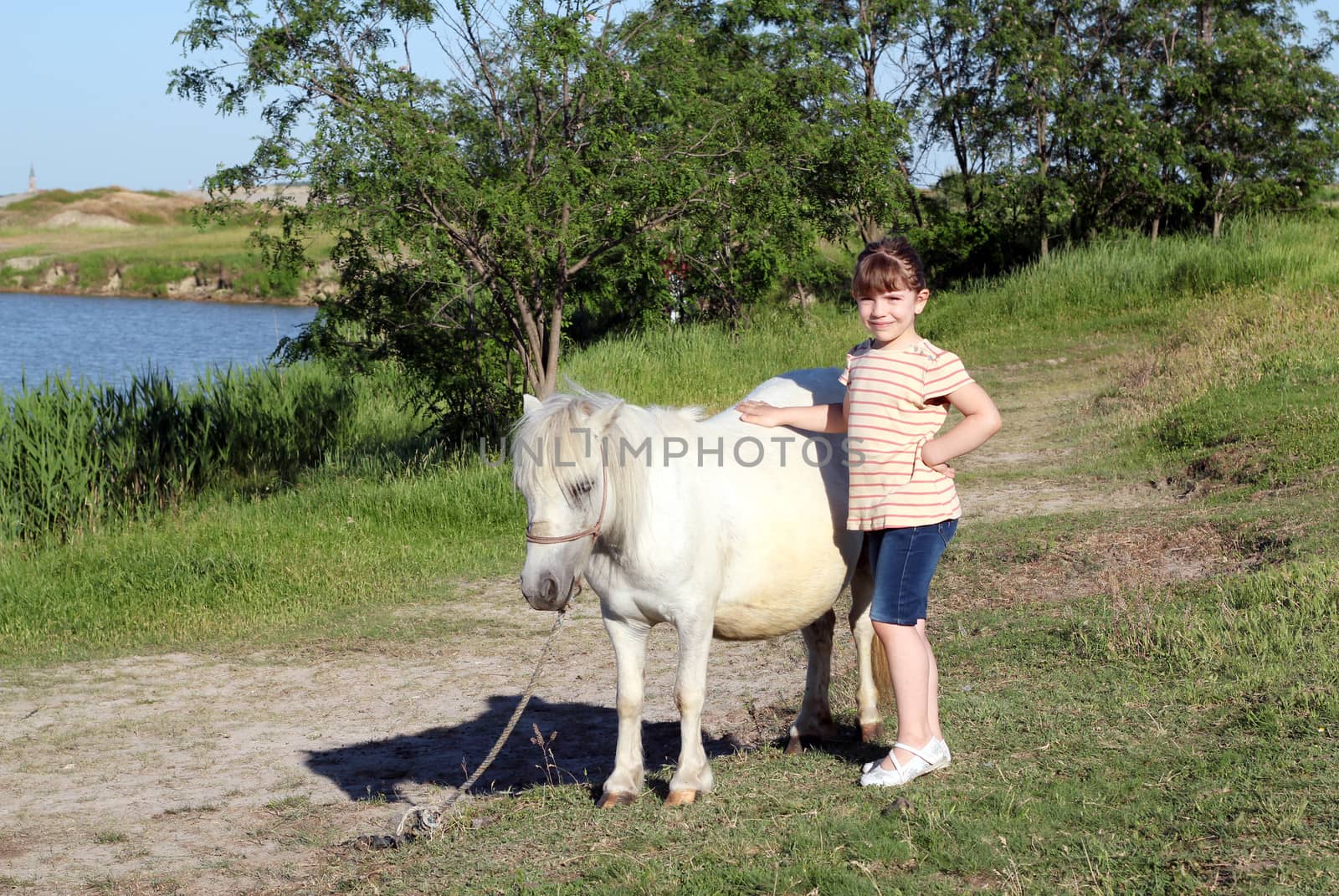 little girl with pony horse pet 