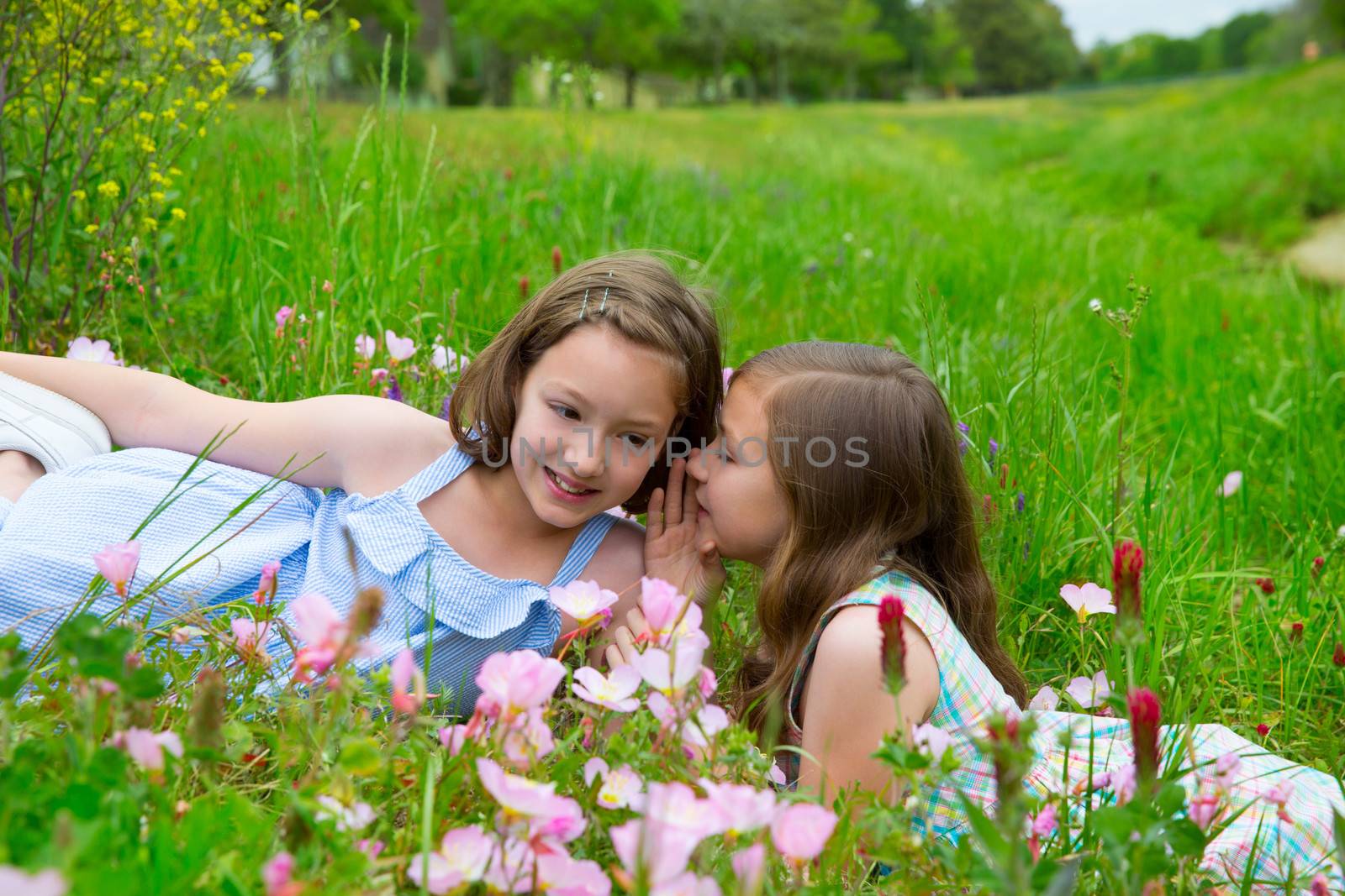 twin sisters friends whispering ear on spring poppy flowers green meadow