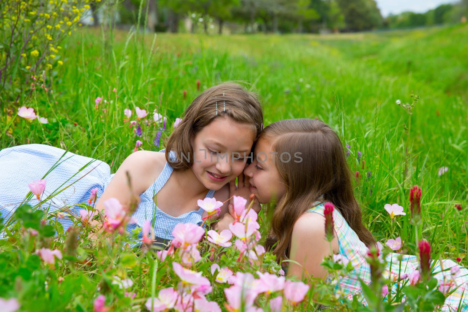 twin sisters friends whispering ear on spring poppy flowers green meadow
