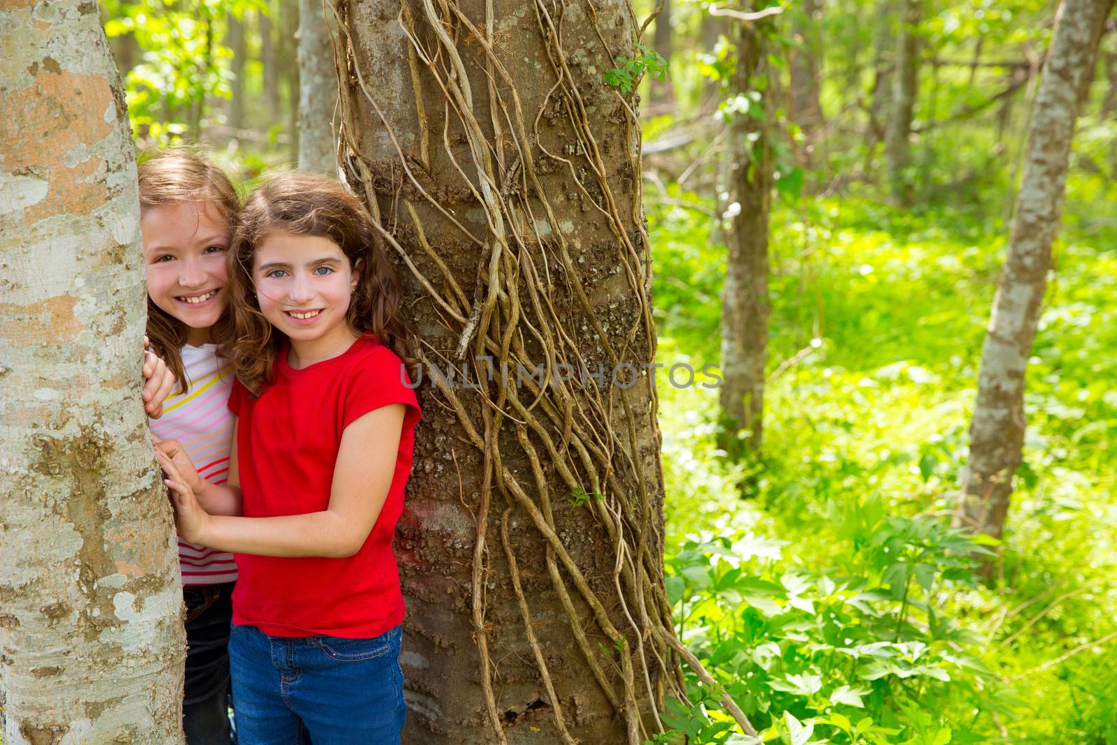 children sister friends playing in tree trunks at the jungle park forest outdoor