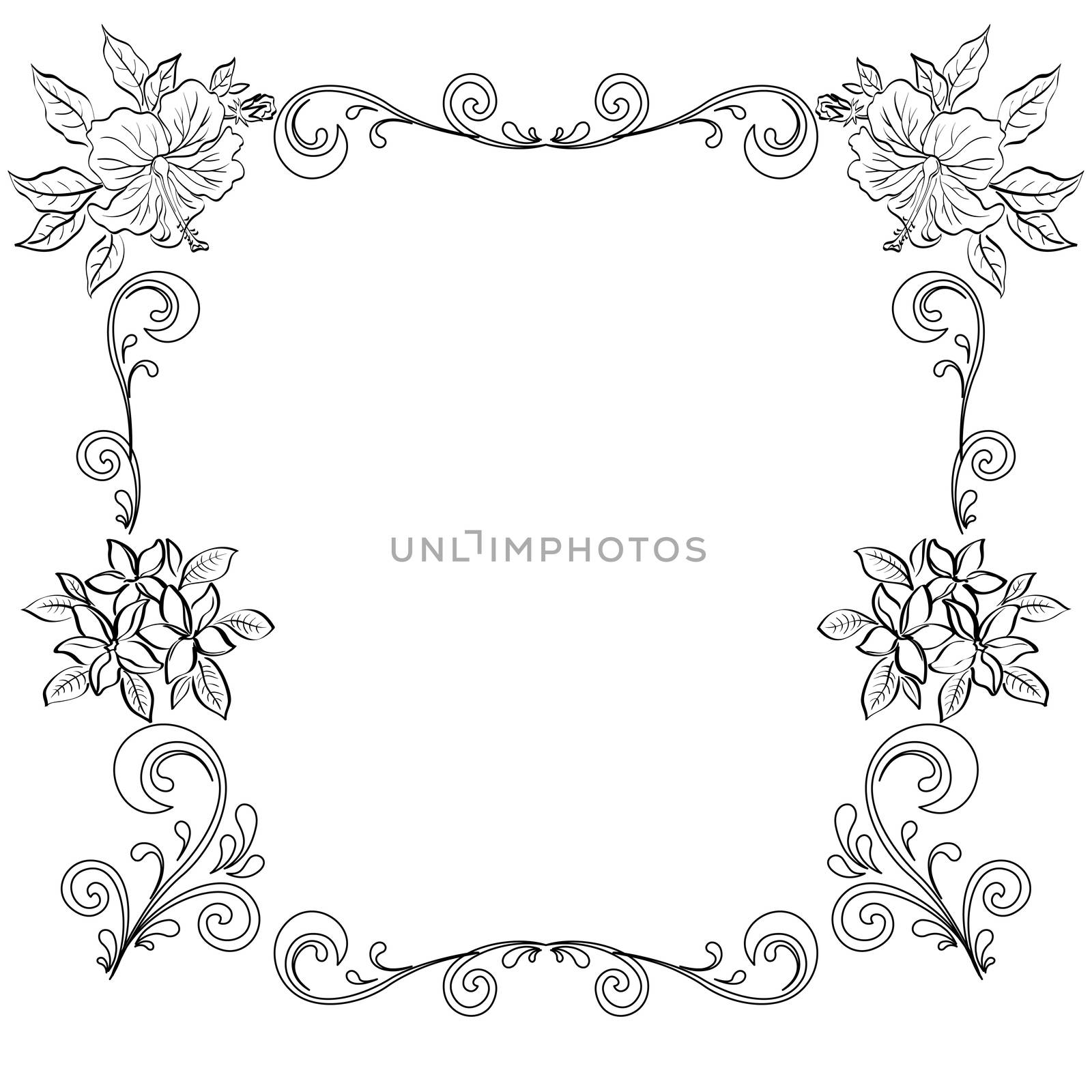 Abstract floral background, frame of flowers, black contour on white background.