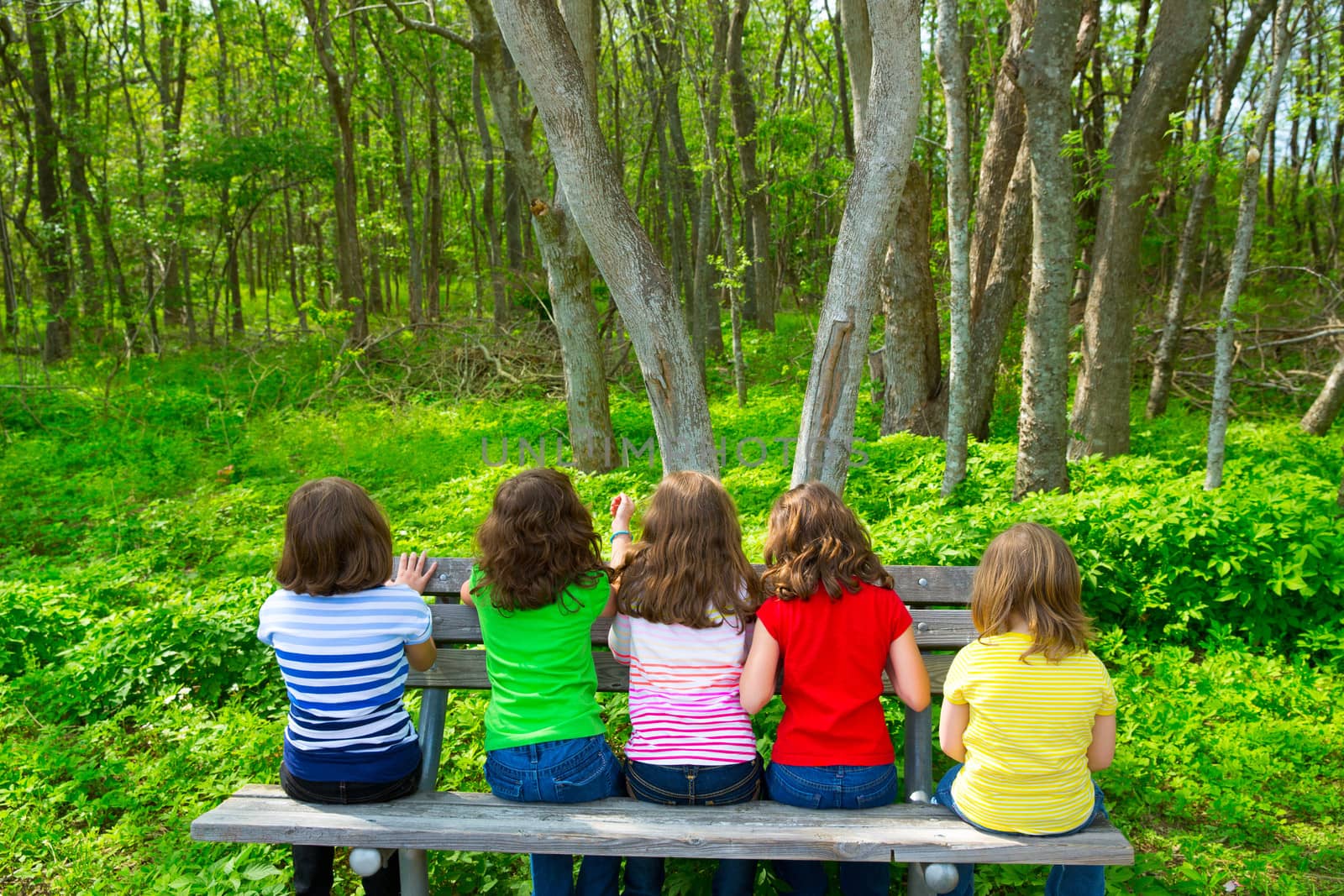Children sister and friend girls sitting on park bench looking at forest rear view