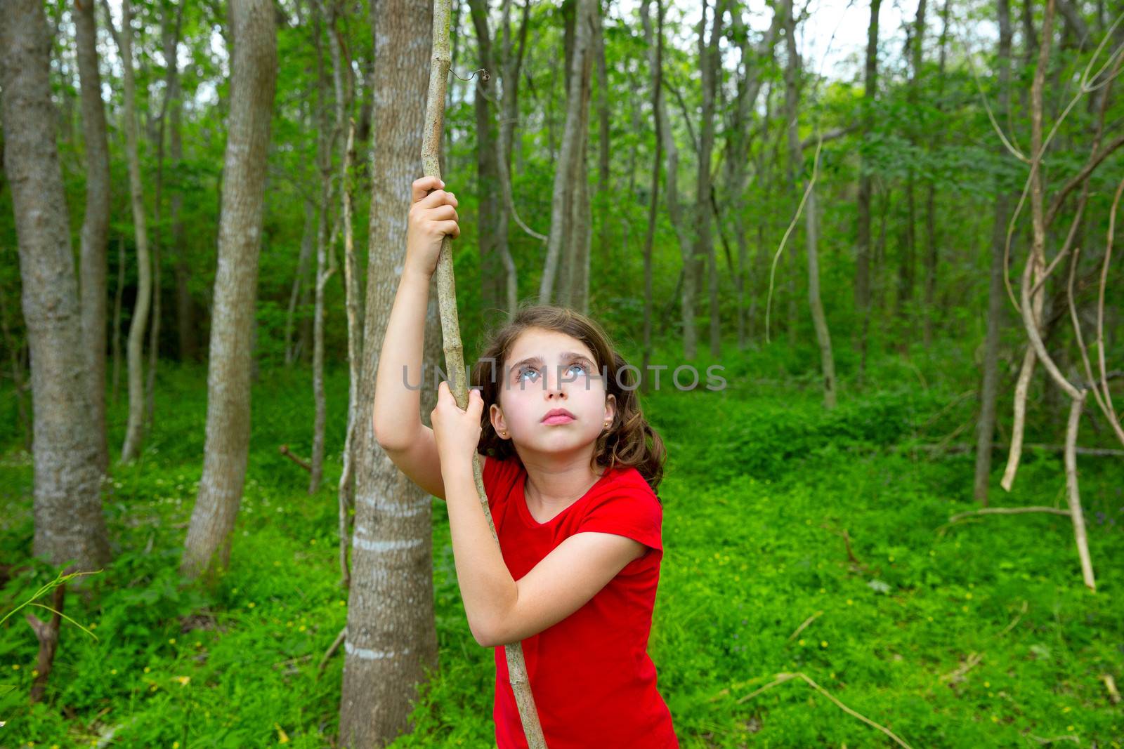 Happy kid girl playing in forest park jungle with liana looking up