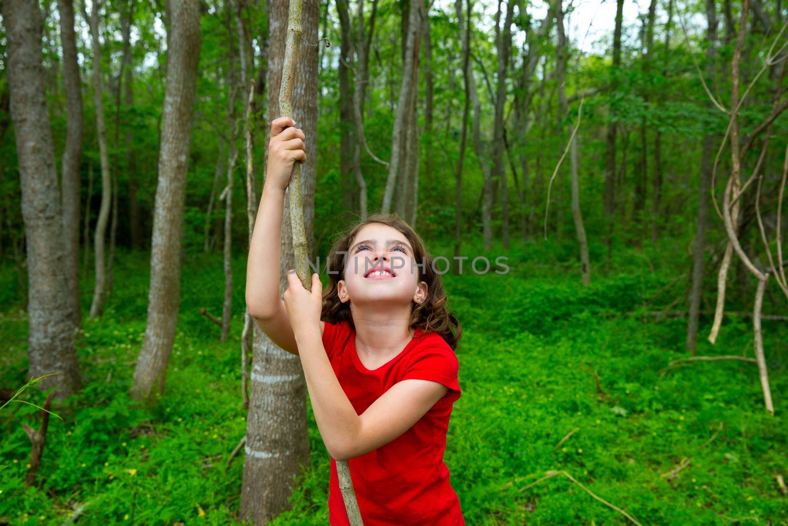 Happy kid girl playing in forest park jungle with liana looking up