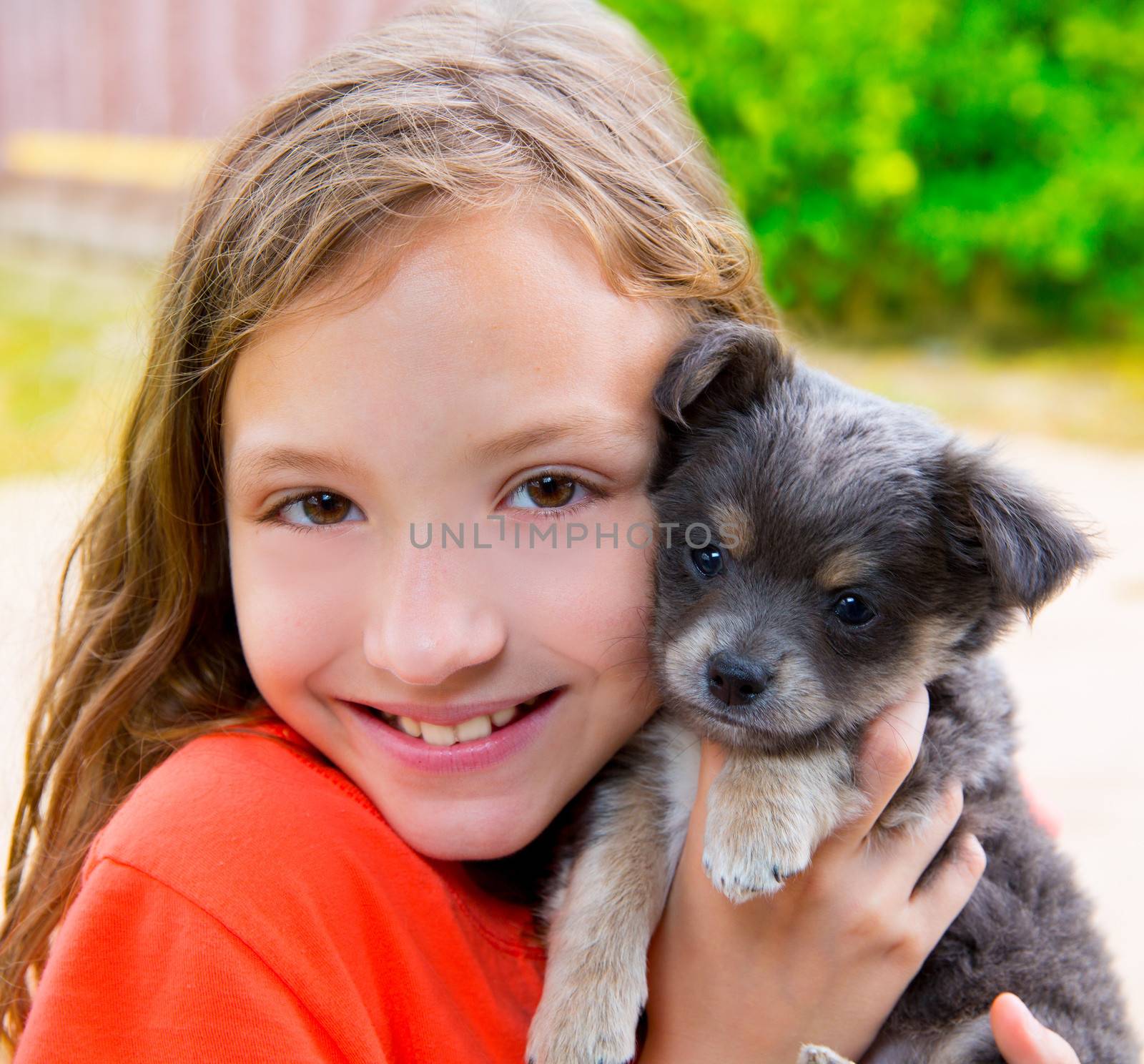 Beautiful kid girl portrait with puppy chihuahua gray dog