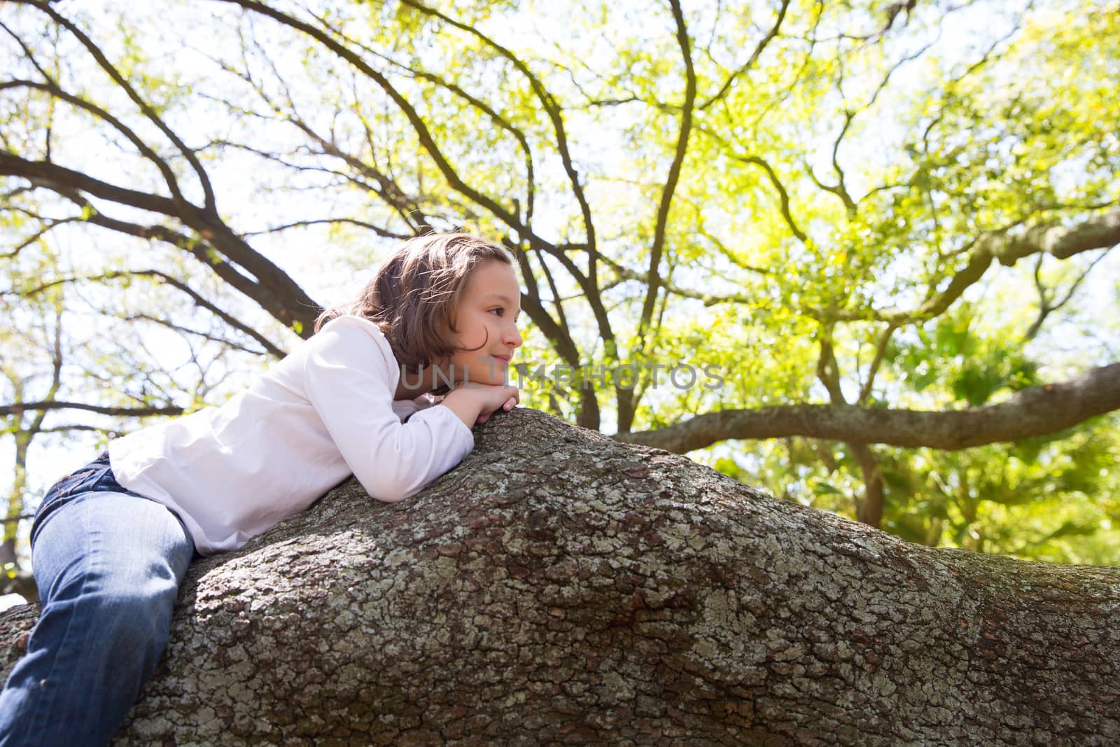 Beautiful children kid girl resting lying on a tree branch