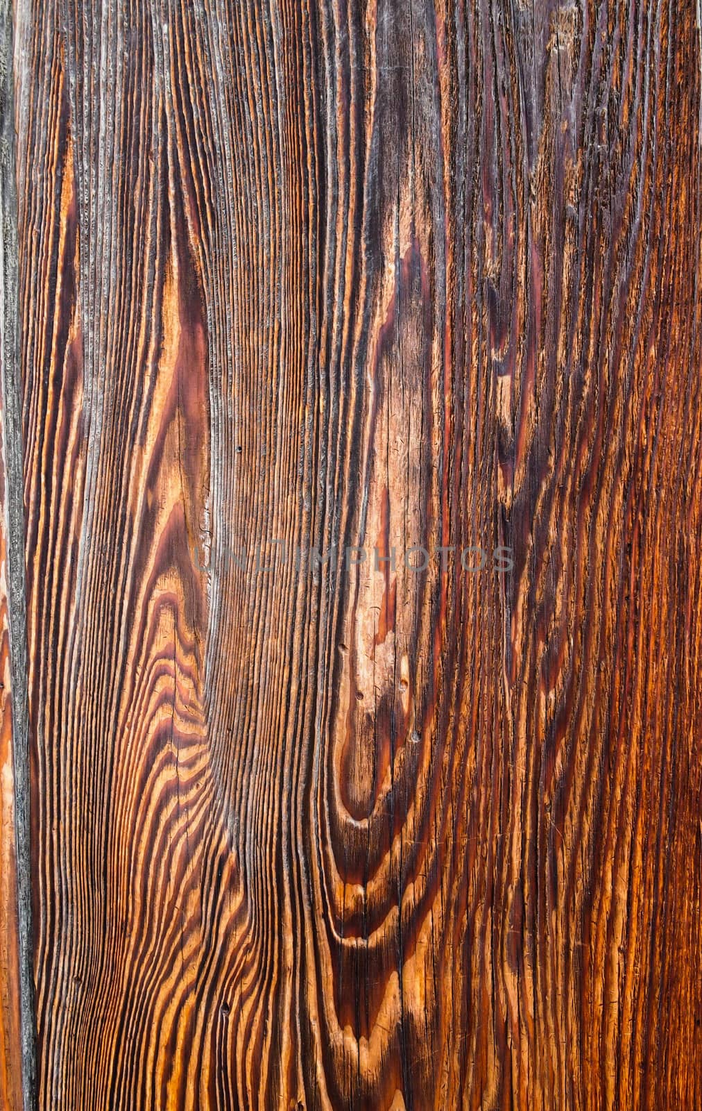 Wood wall