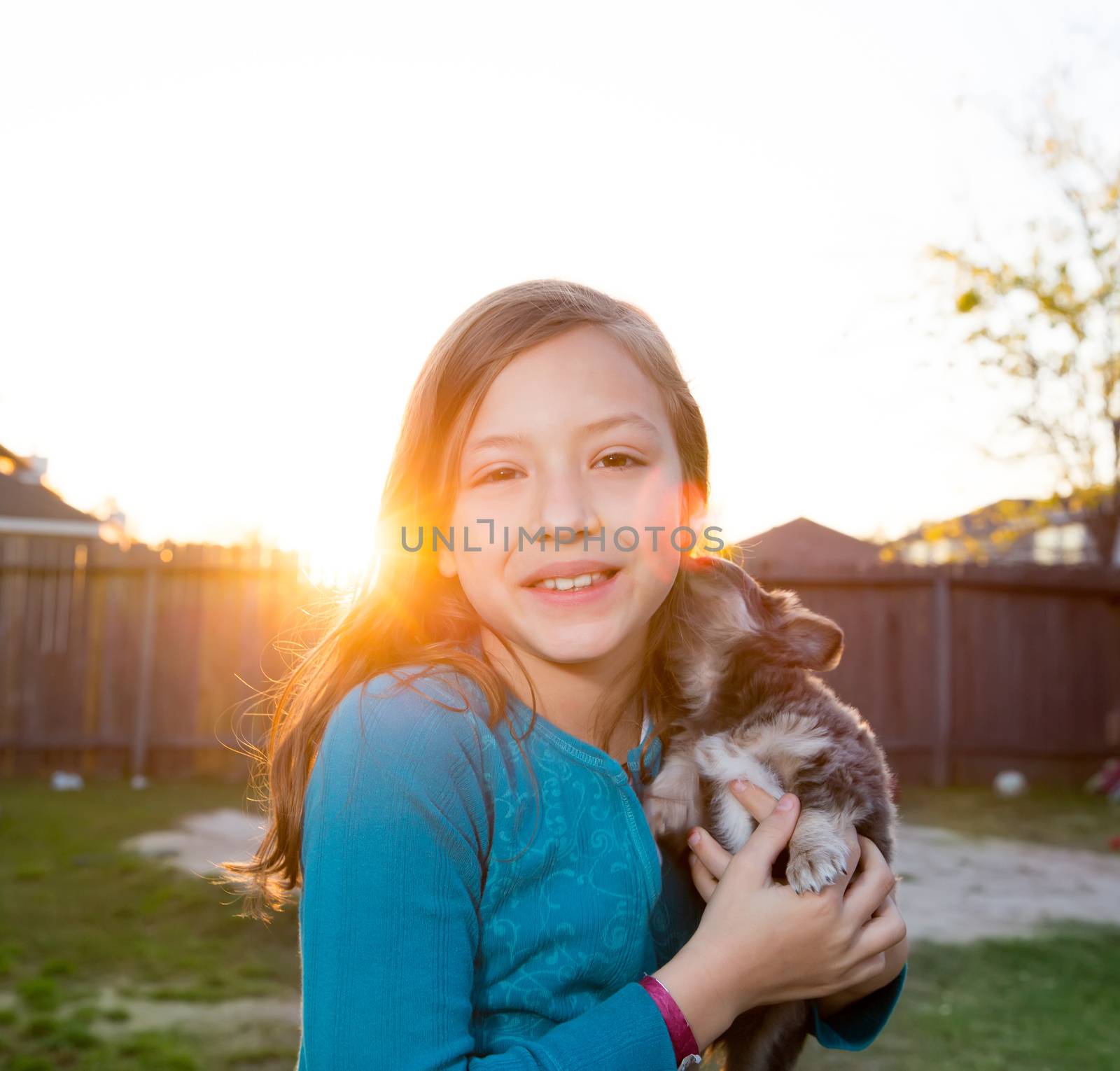 Children kid girl playing with puppy dog hairy chihuahua in backyard sunset