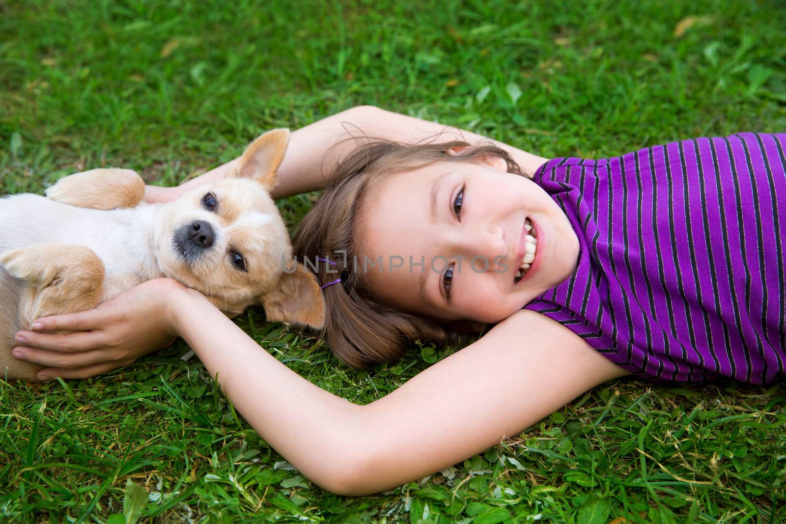 children girl playing with chihuahua dog lying on backyard lawn