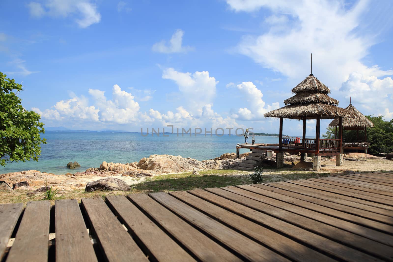 Wooden jetty on tropical beach on island by rufous