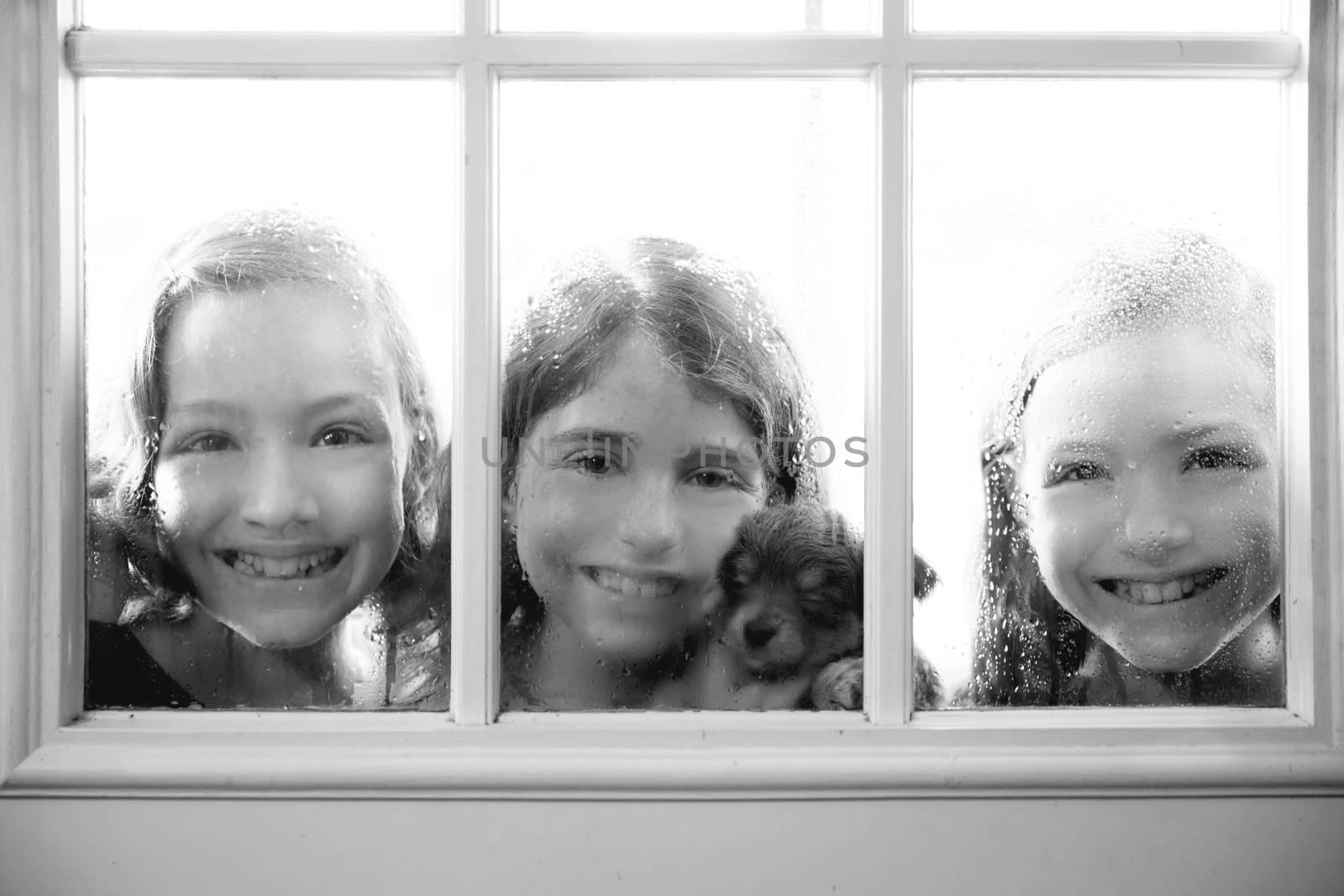 three sister friends looking through the window with a pup and raindrops