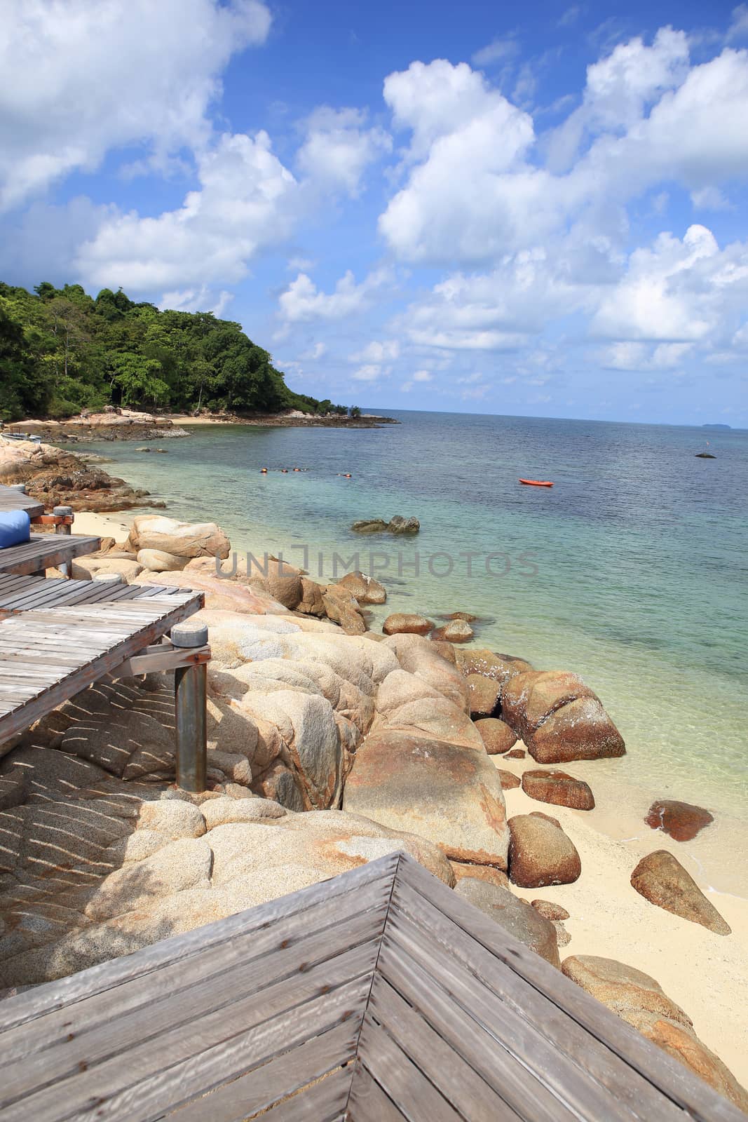 Wooden jetty on tropical beach on island by rufous