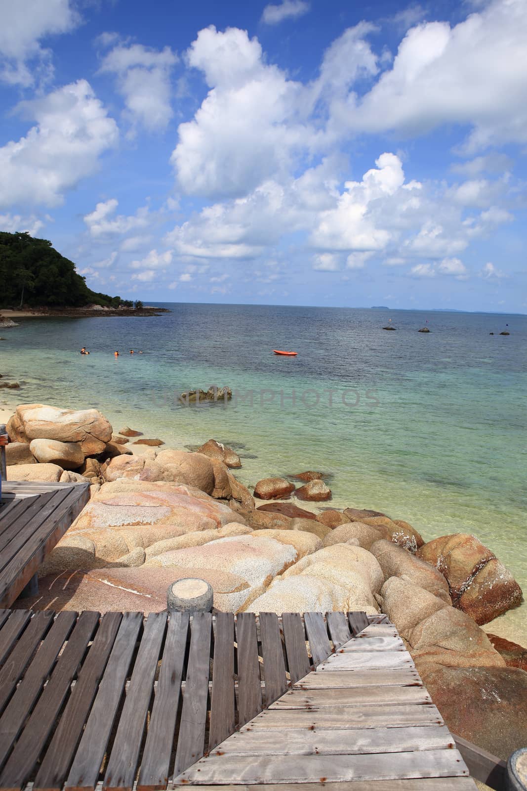 Wooden jetty on tropical beach on island by rufous
