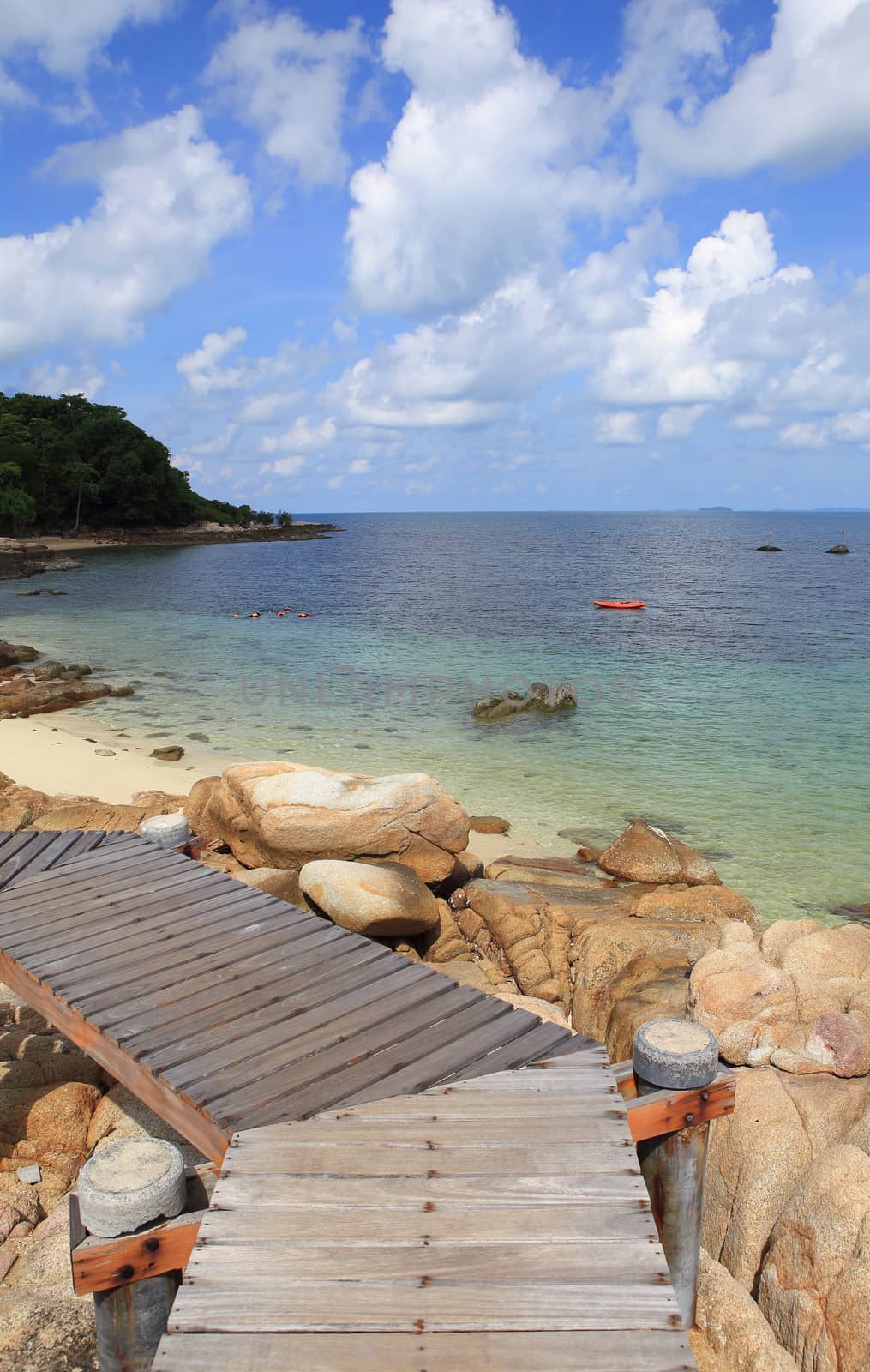 Wooden jetty on tropical beach on island by rufous