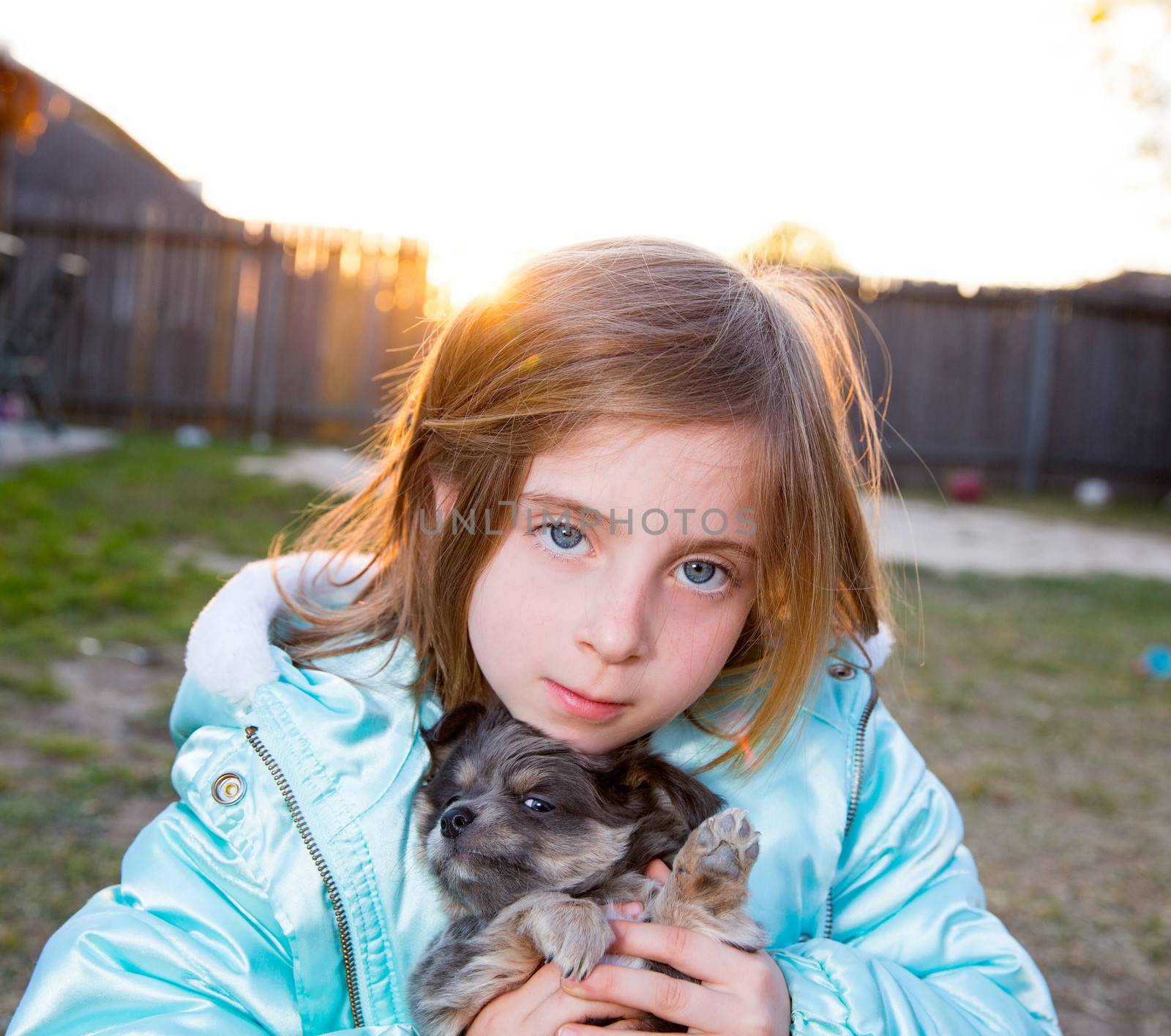 Blond children kid girl playing with puppy dog hairy chihuahua