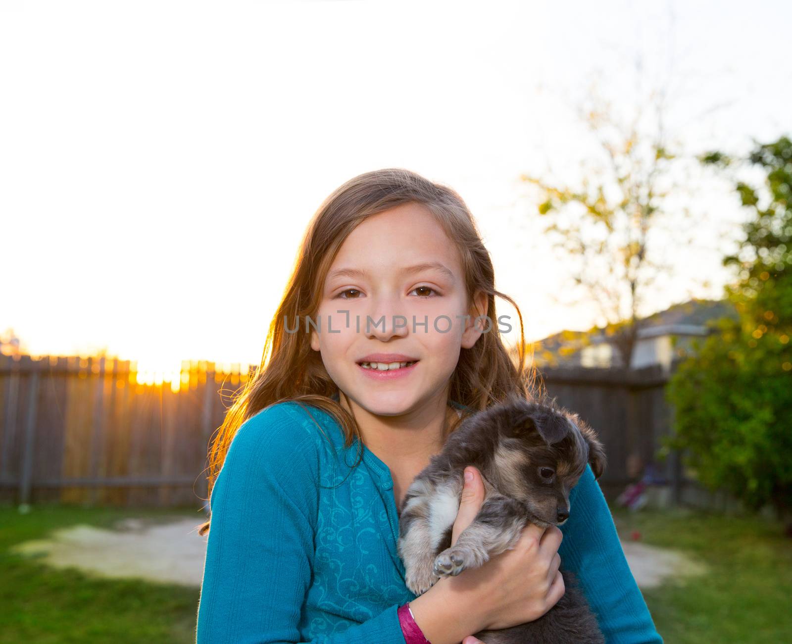 Children kid girl playing with puppy dog hairy chihuahua in backyard sunset