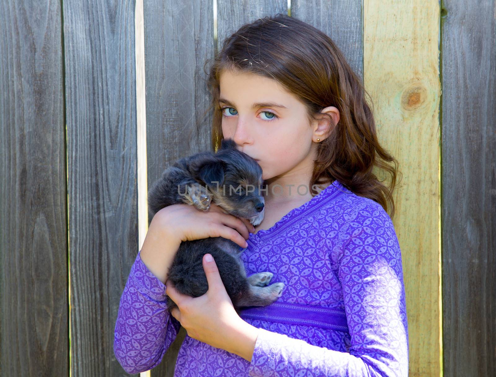 children girl kissing her puppy chihuahua doggy on the wood fence